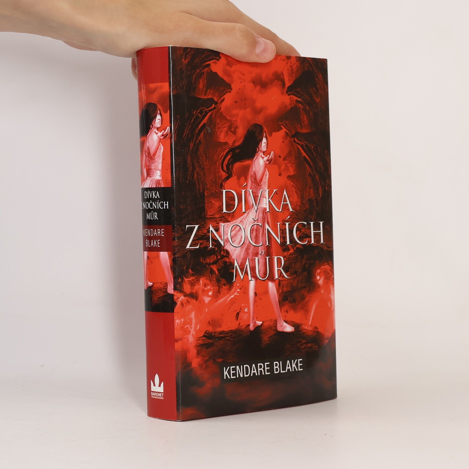 Kendare Blake Dívka z nočních můr