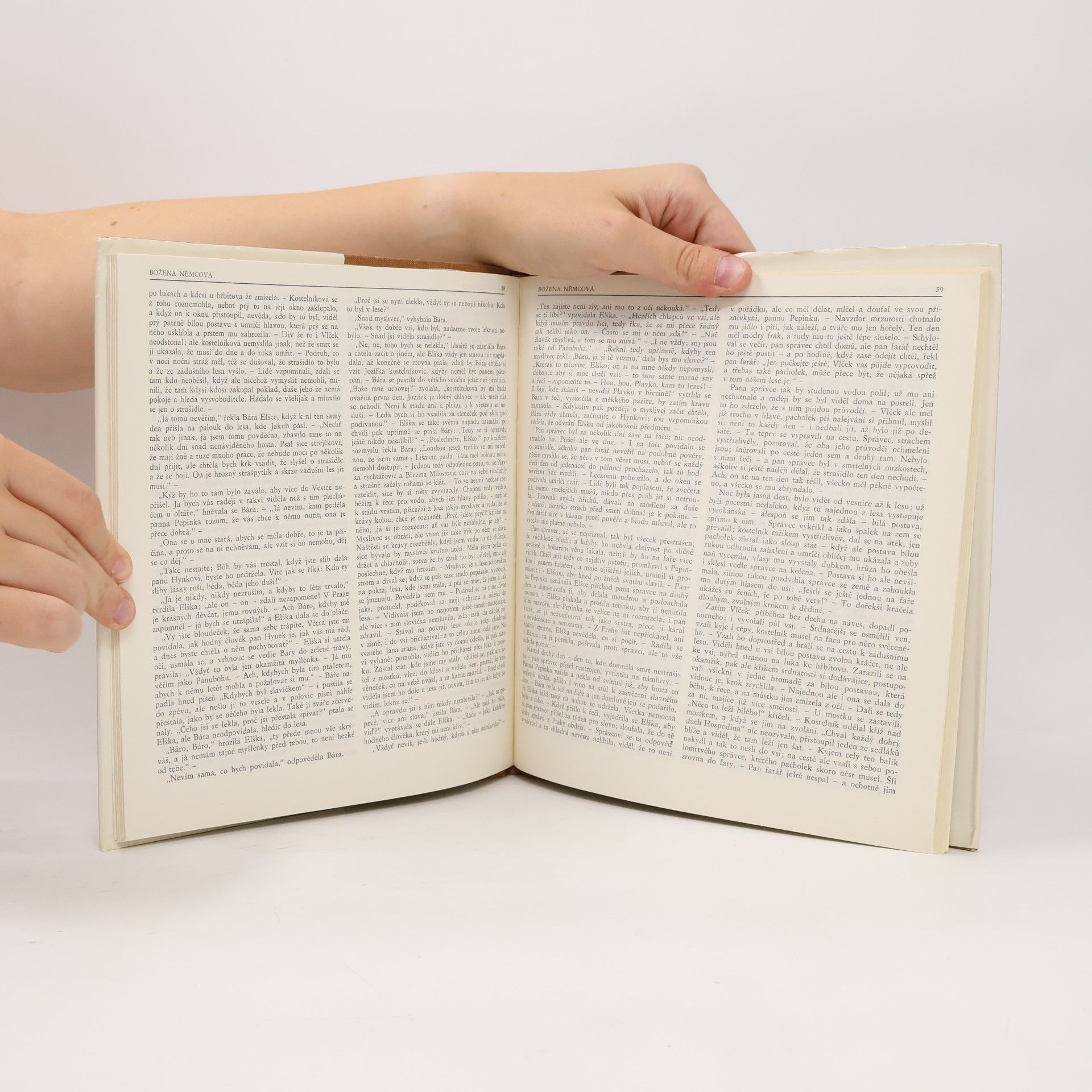 František Ladislav Čelakovský Doba Josefa Mánesa v zrcadle literatury
