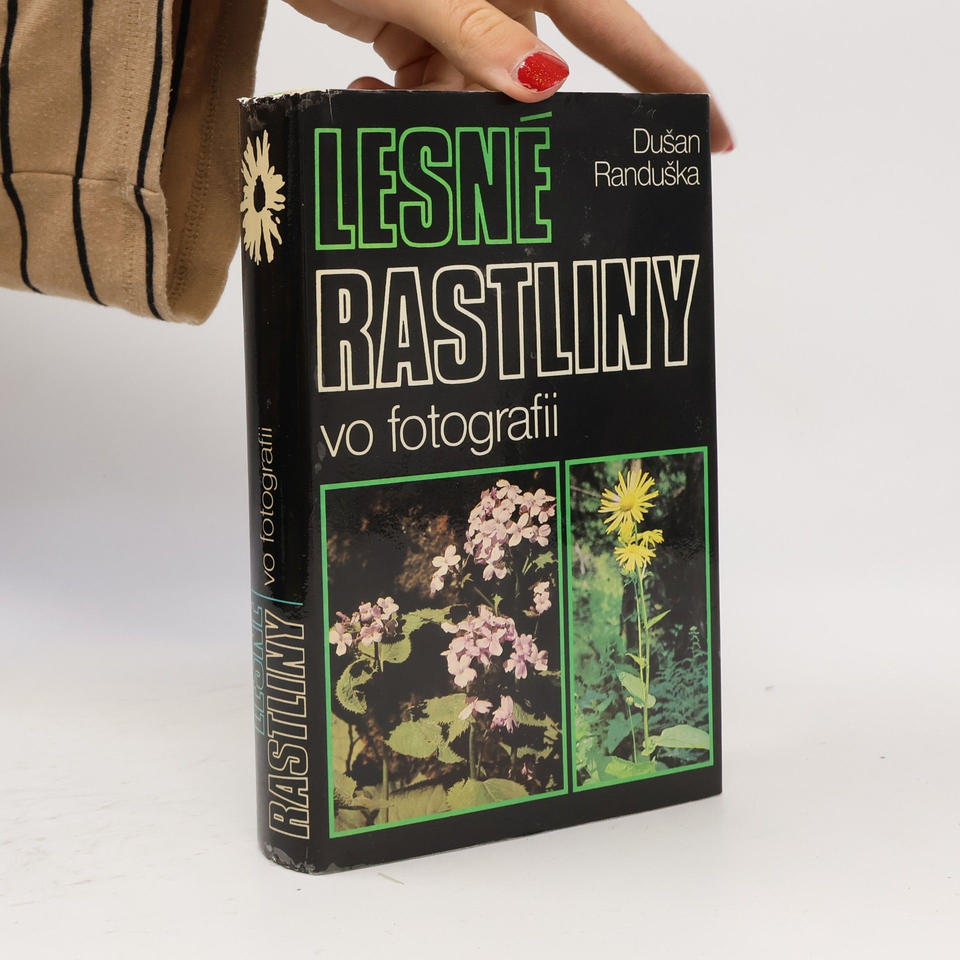 Lesné rastliny vo fotografii
