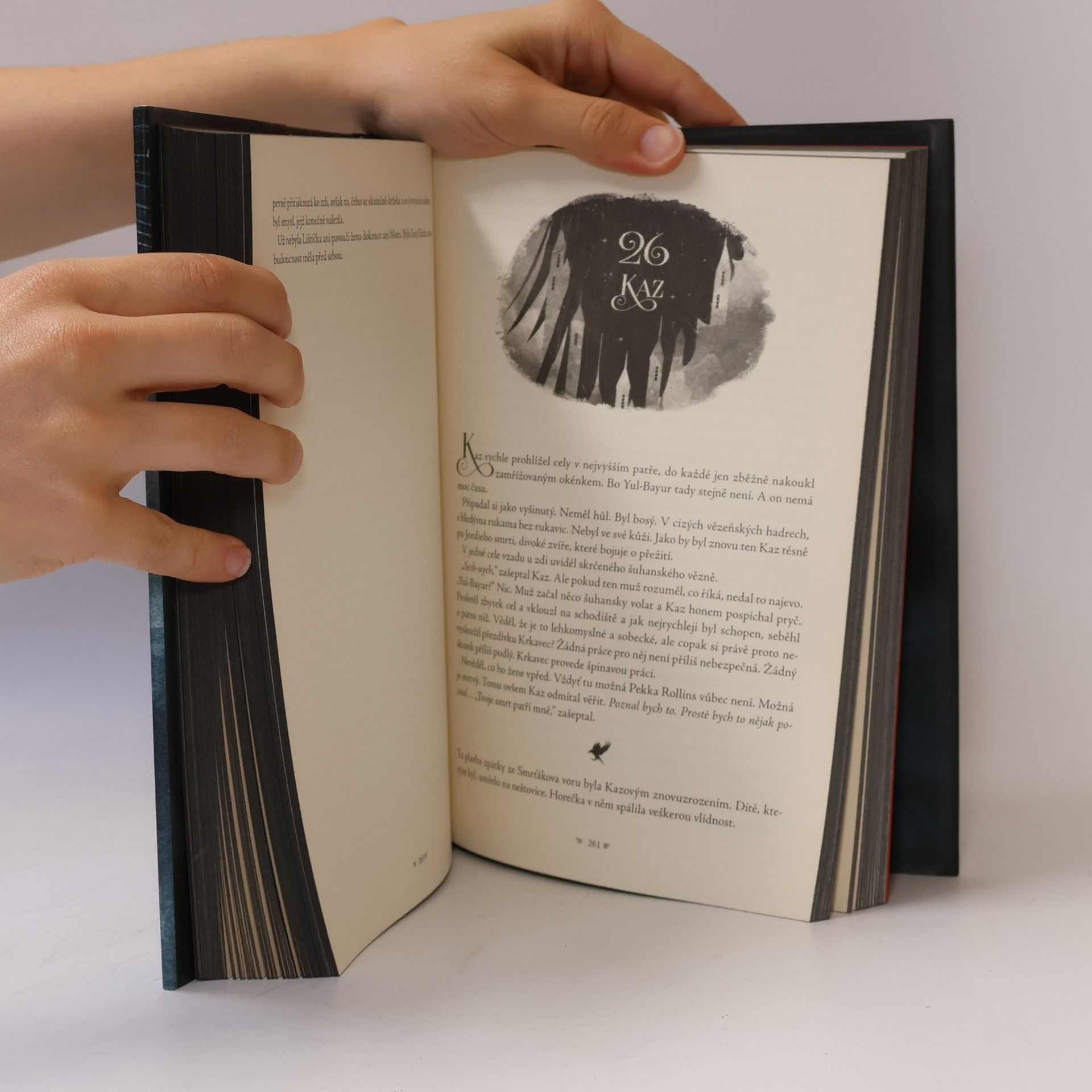 Leigh Bardugo Šest vran