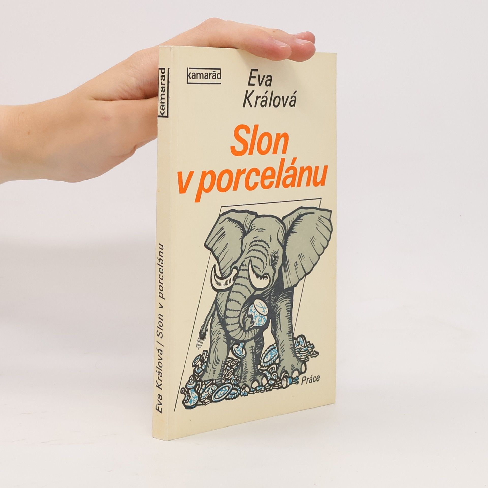 Slon v porcelánu