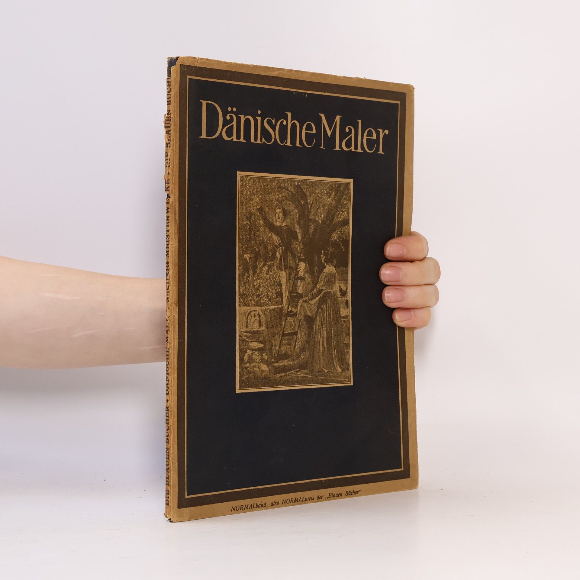 Various authors Dänische Maler