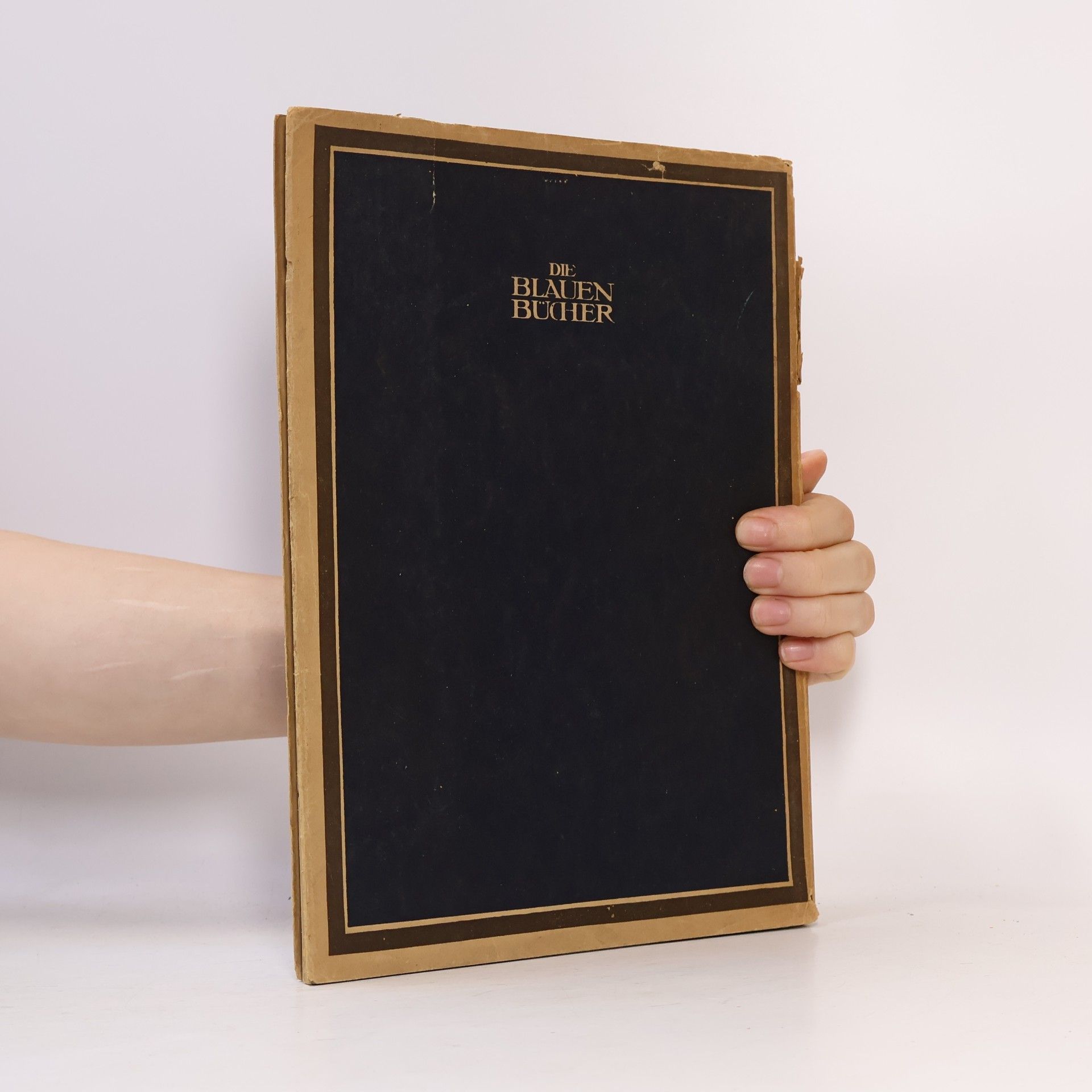 Autorenkollektiv Dänische Maler
