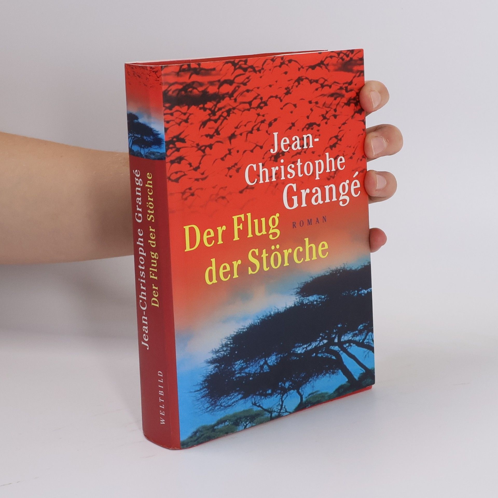 Der Flug der Störche