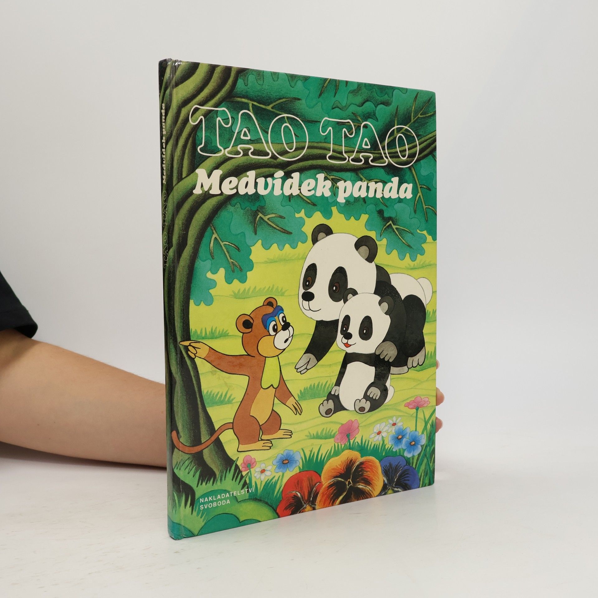 Autores varios Tao Tao. Medvídek panda