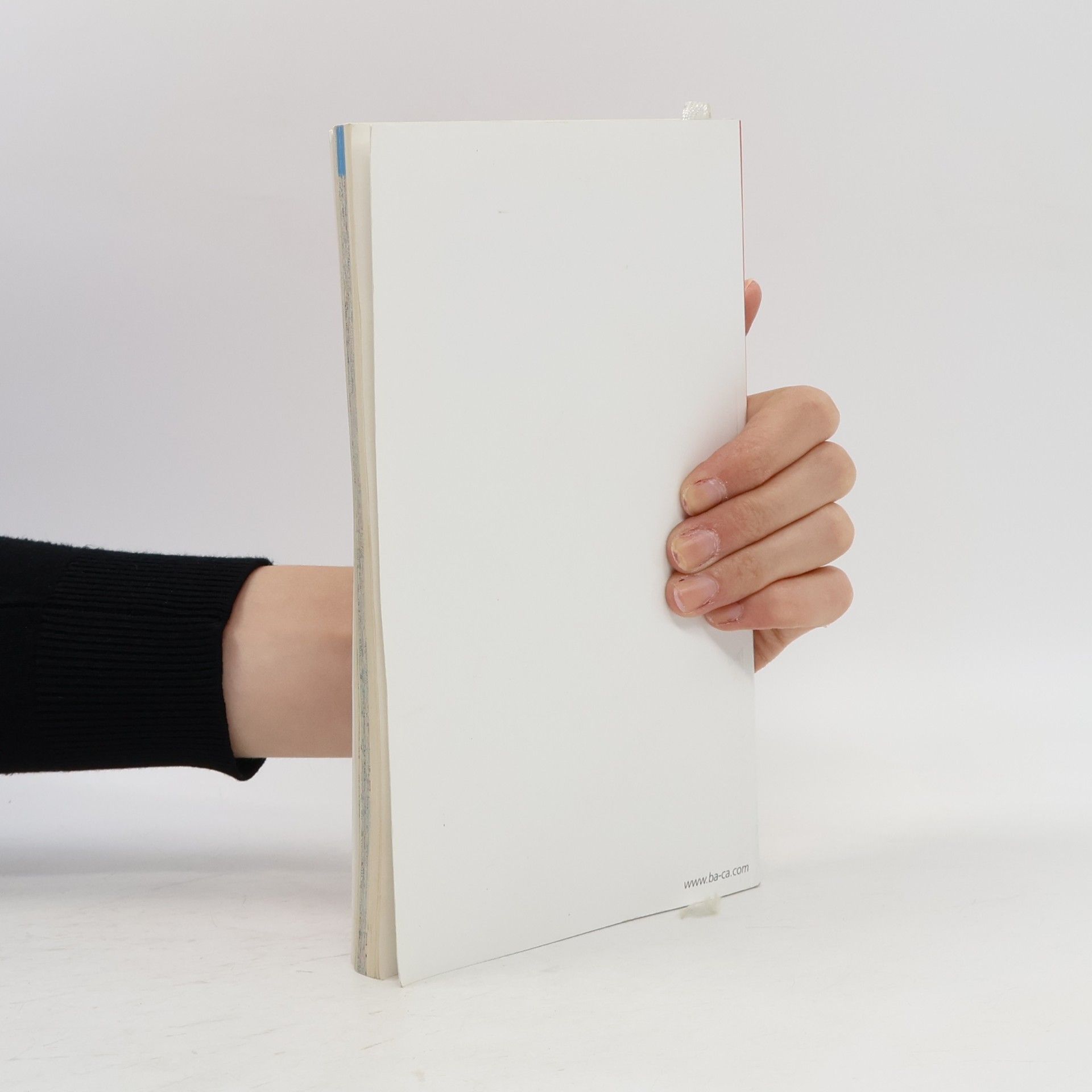 Kolektiv autorů Buchplan Wien