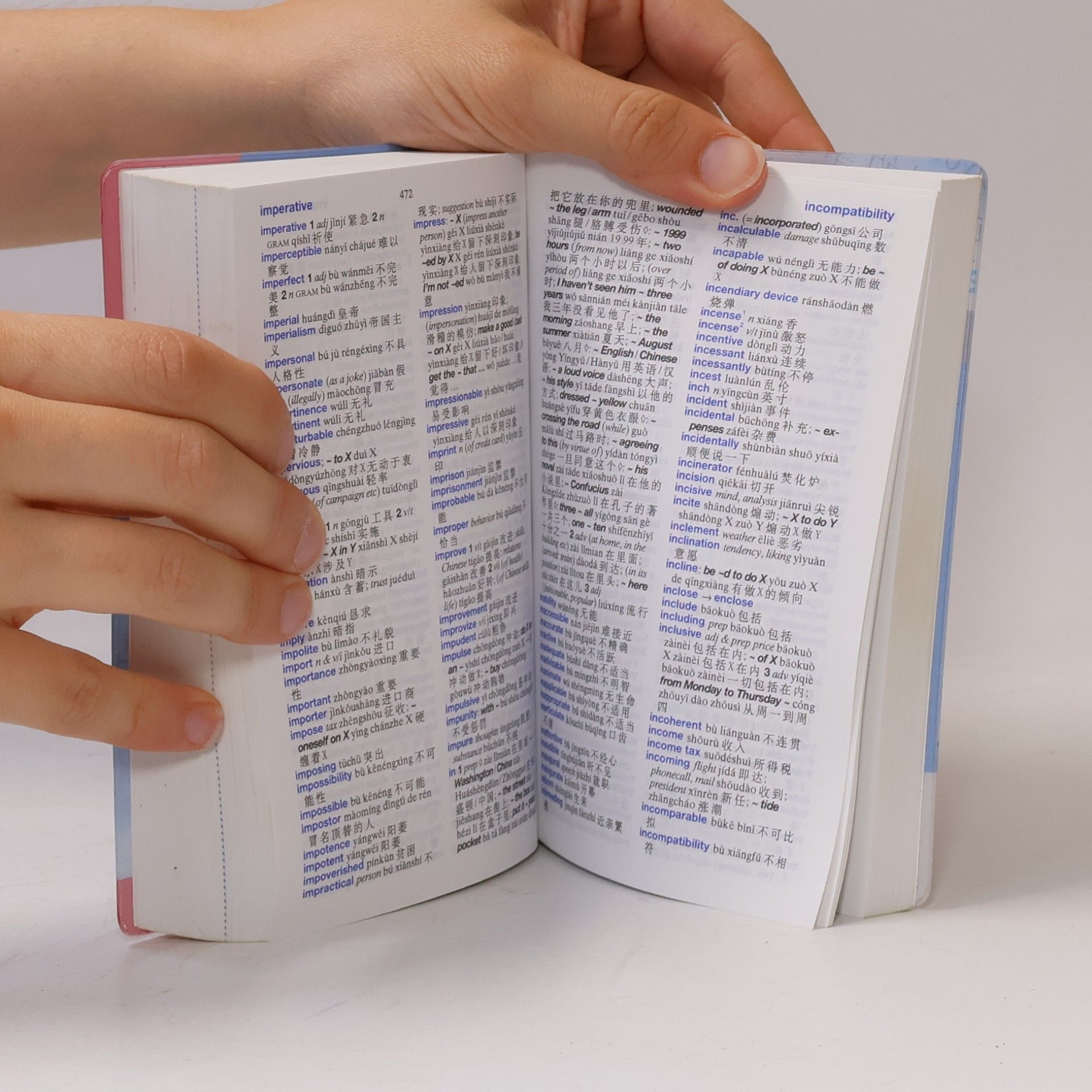 Berlitz Publishing Company Berlitz Compact Dictionary: Mandarin Chinese Compact Dictionary