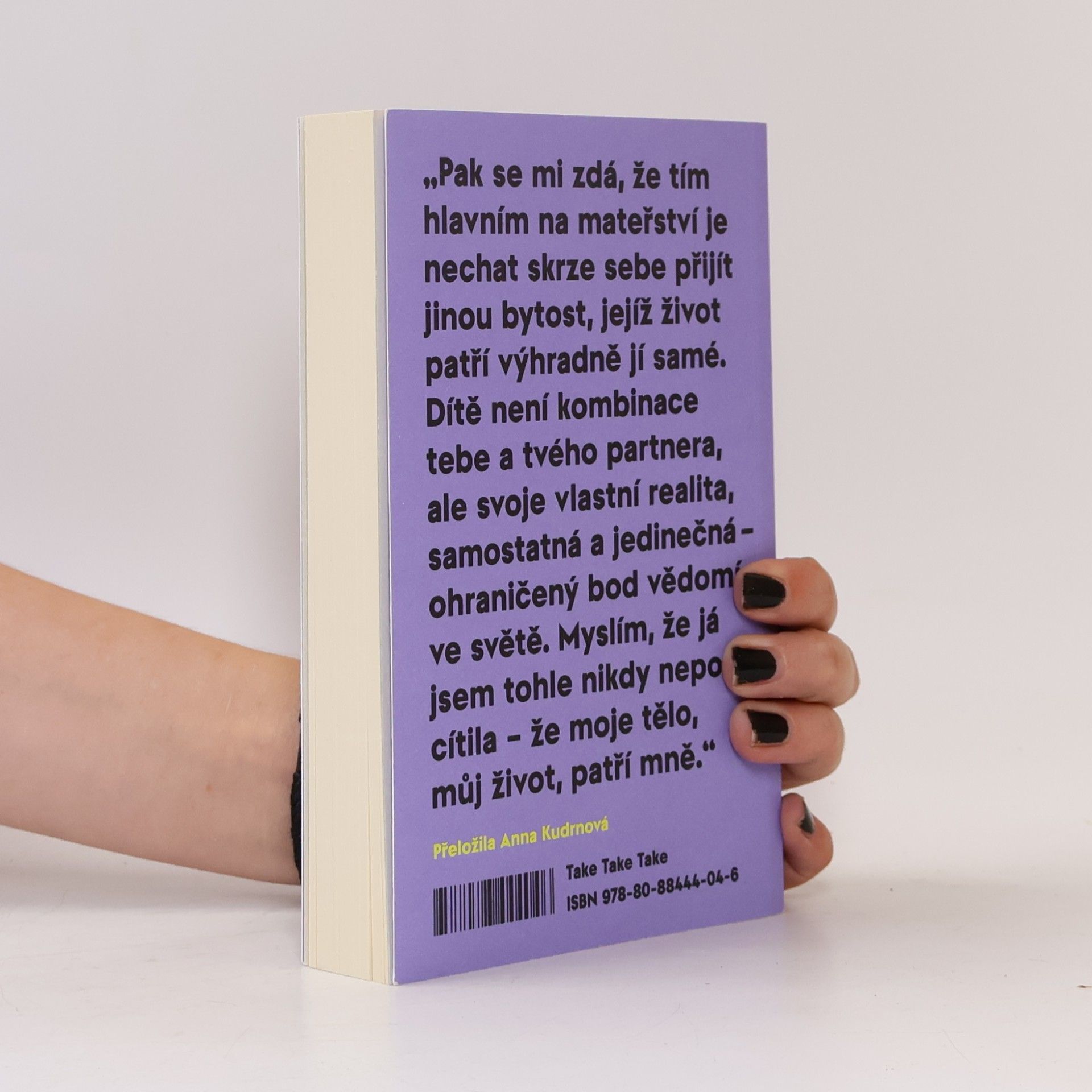Sheila Heti Mateřství