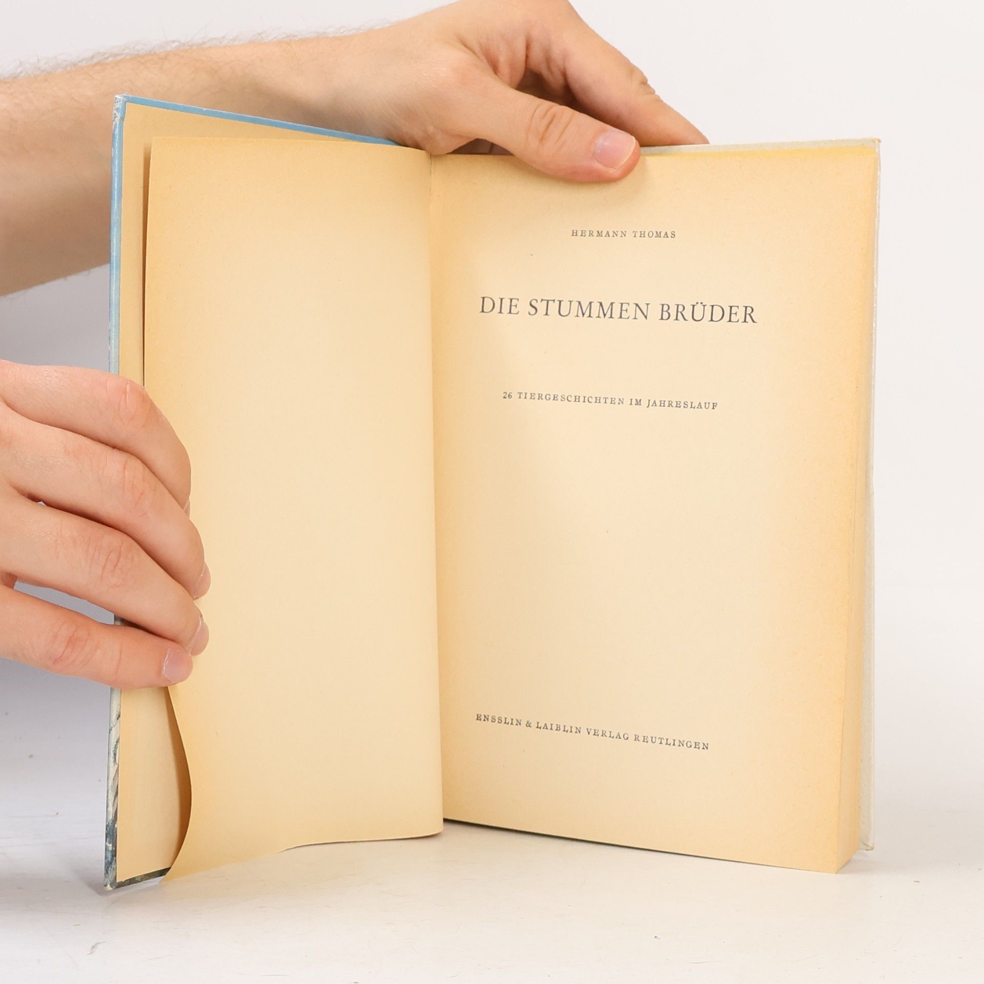 Hermann Thomas Die stummen Brüder