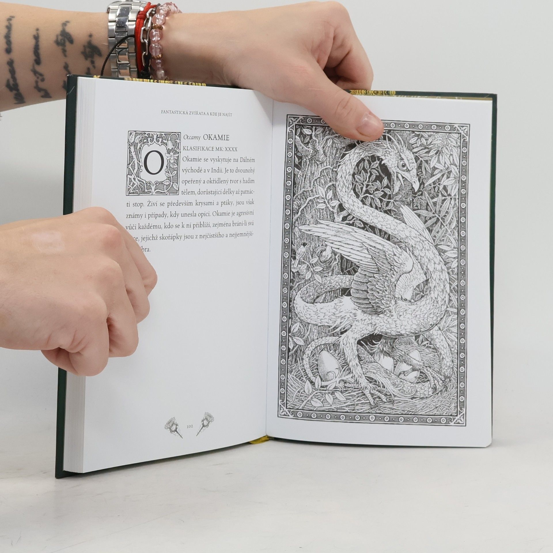 J. K. Rowling Fantastická zvířata a kde je najít