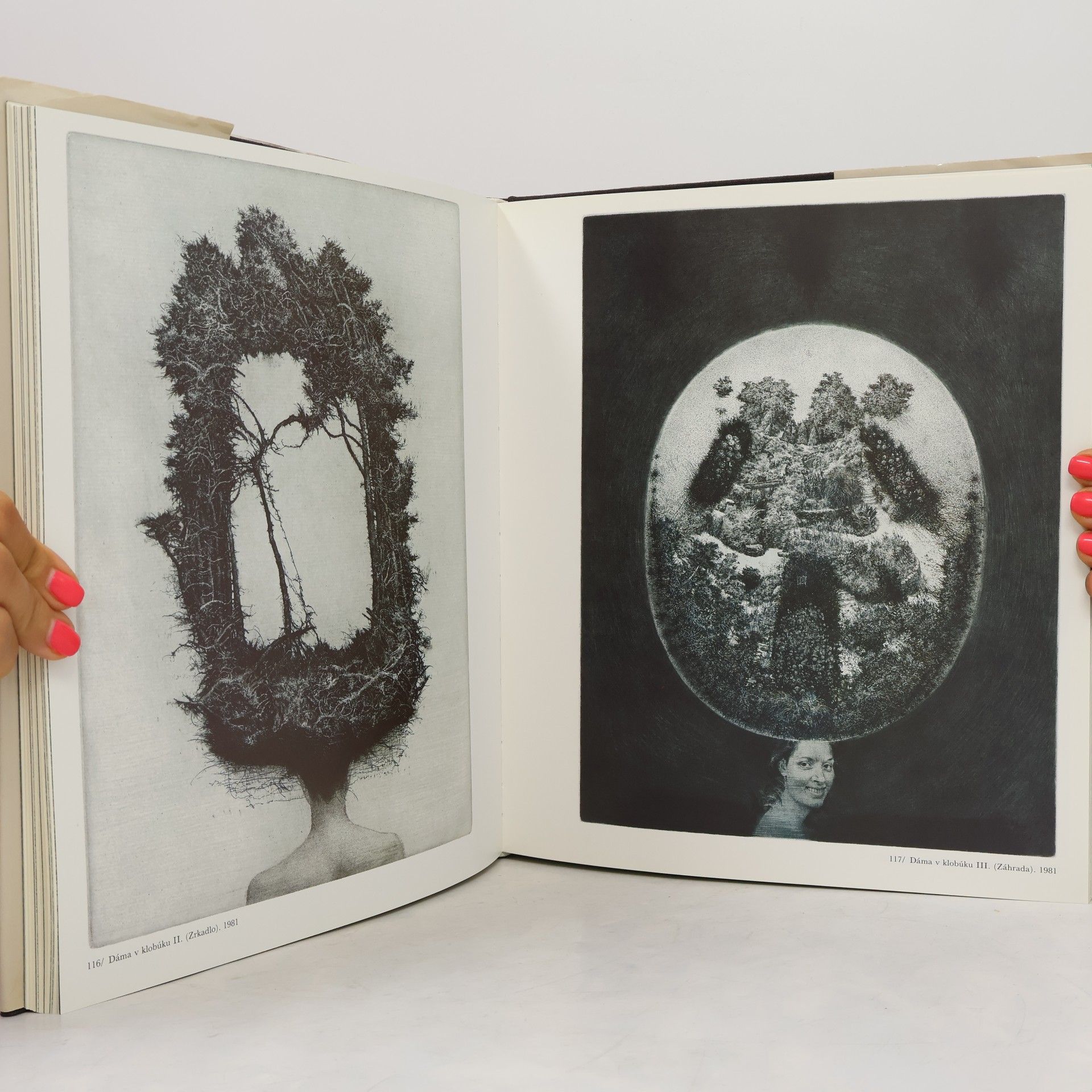 Ľudmila Peterajová Albín Brunovský