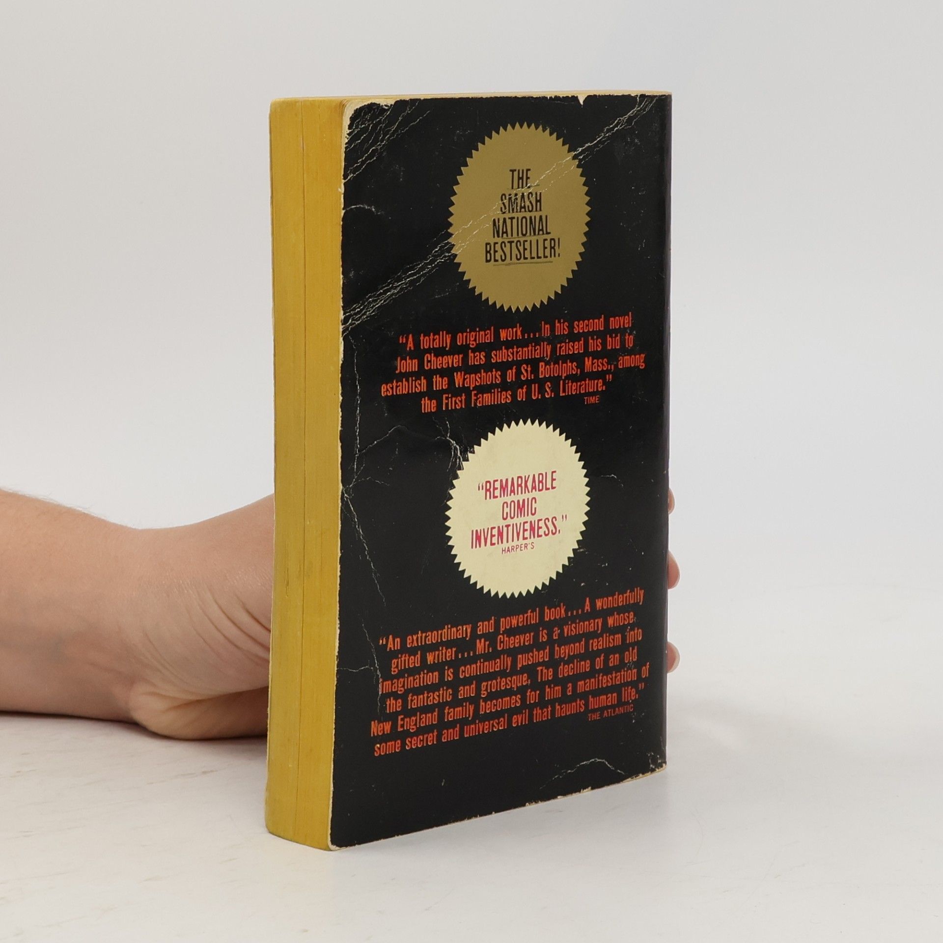John Cheever The Wapshot Scandal