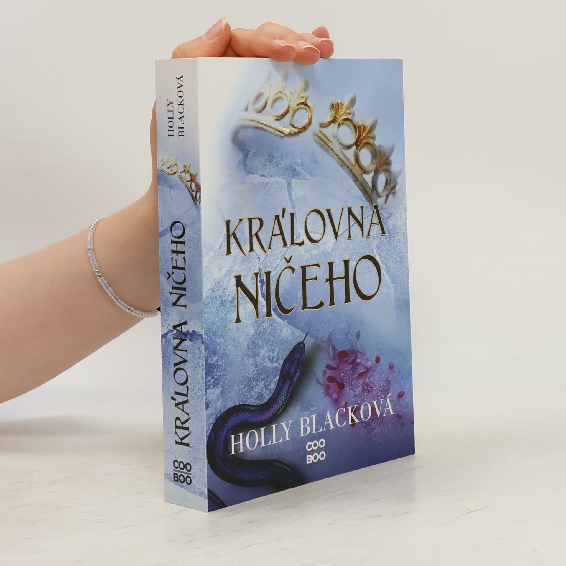 Holly Black Královna ničeho