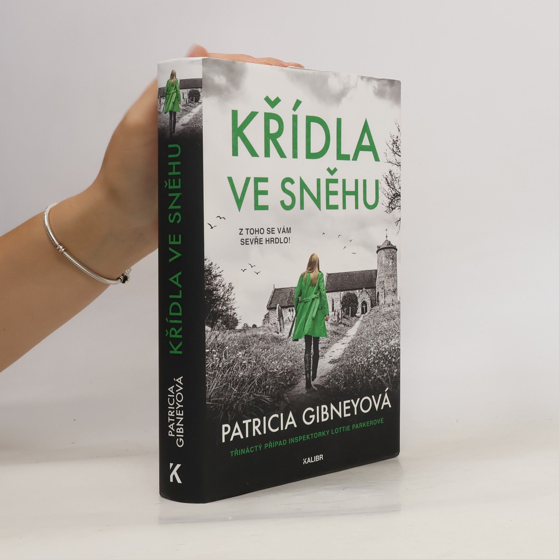 Patricia Gibney Křídla ve sněhu