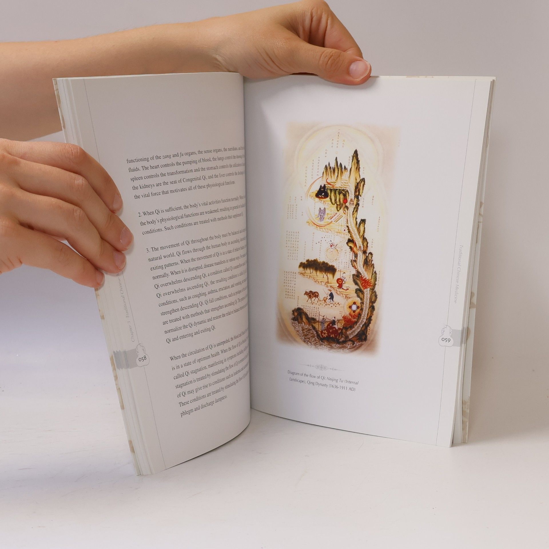 Yu Youhua Traditional Chinese Medicine