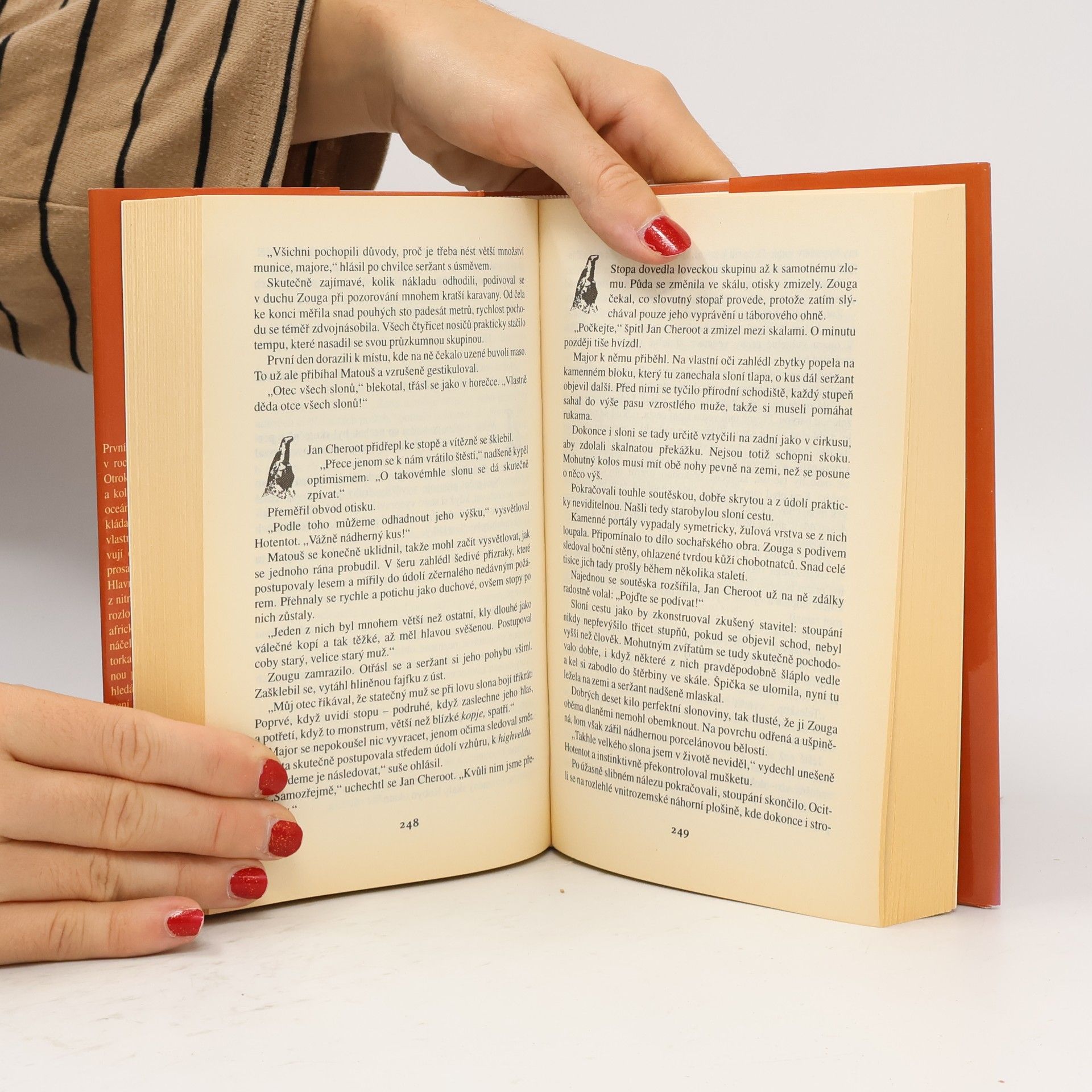 Wilbur Smith Říše kamenného sokola
