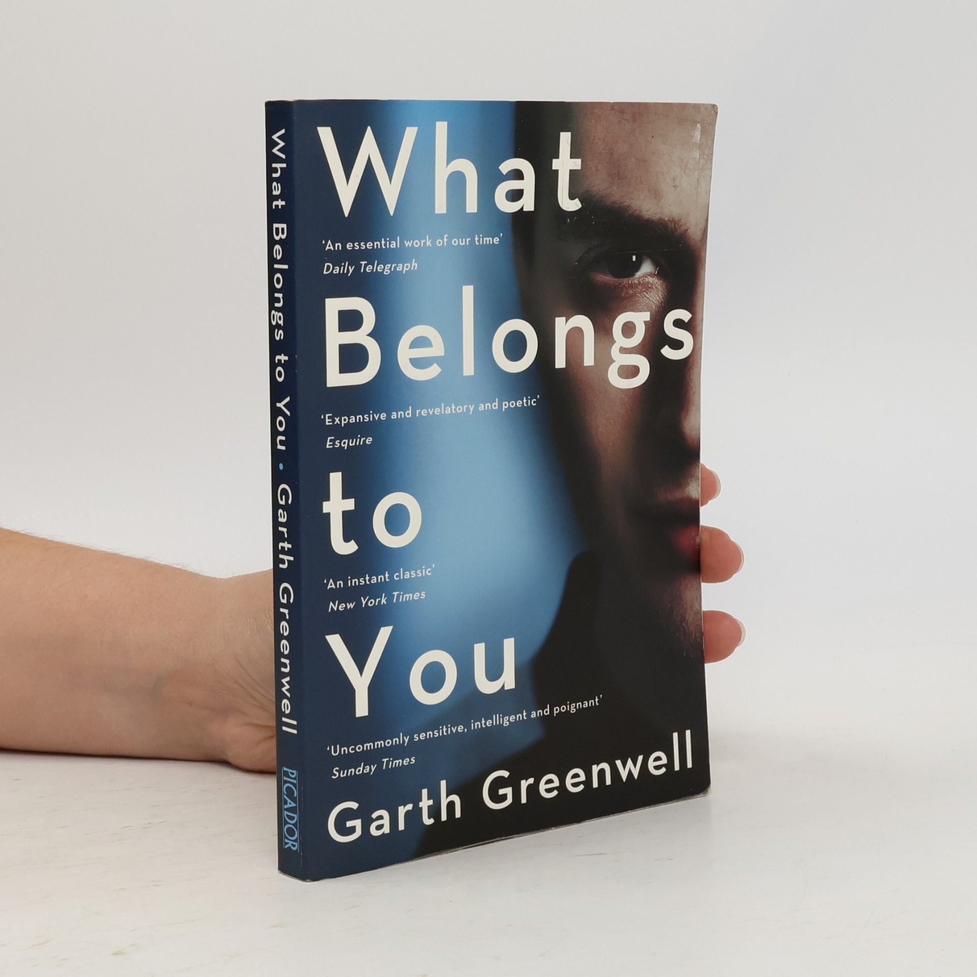 Garth Greenwell What Belongs to You