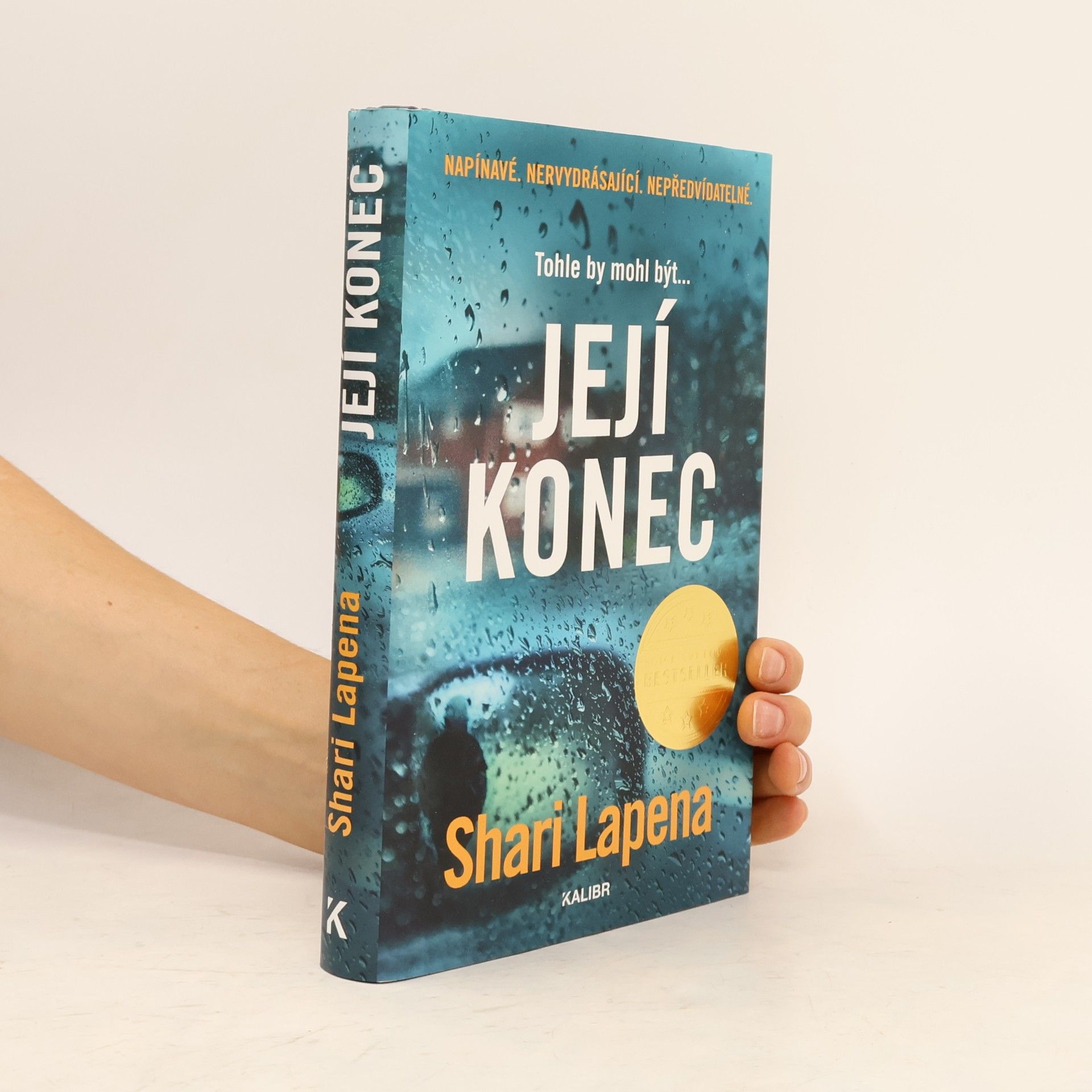 Shari Lapena Její konec