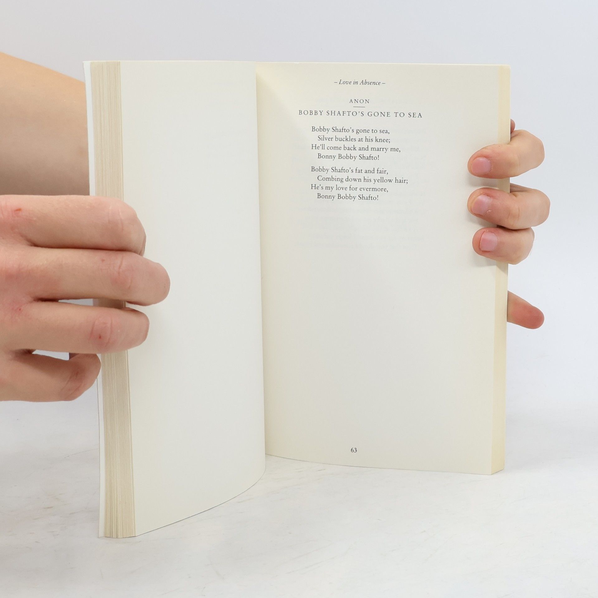 Daisy Goodwin The Nation's Favourite: Love Poems