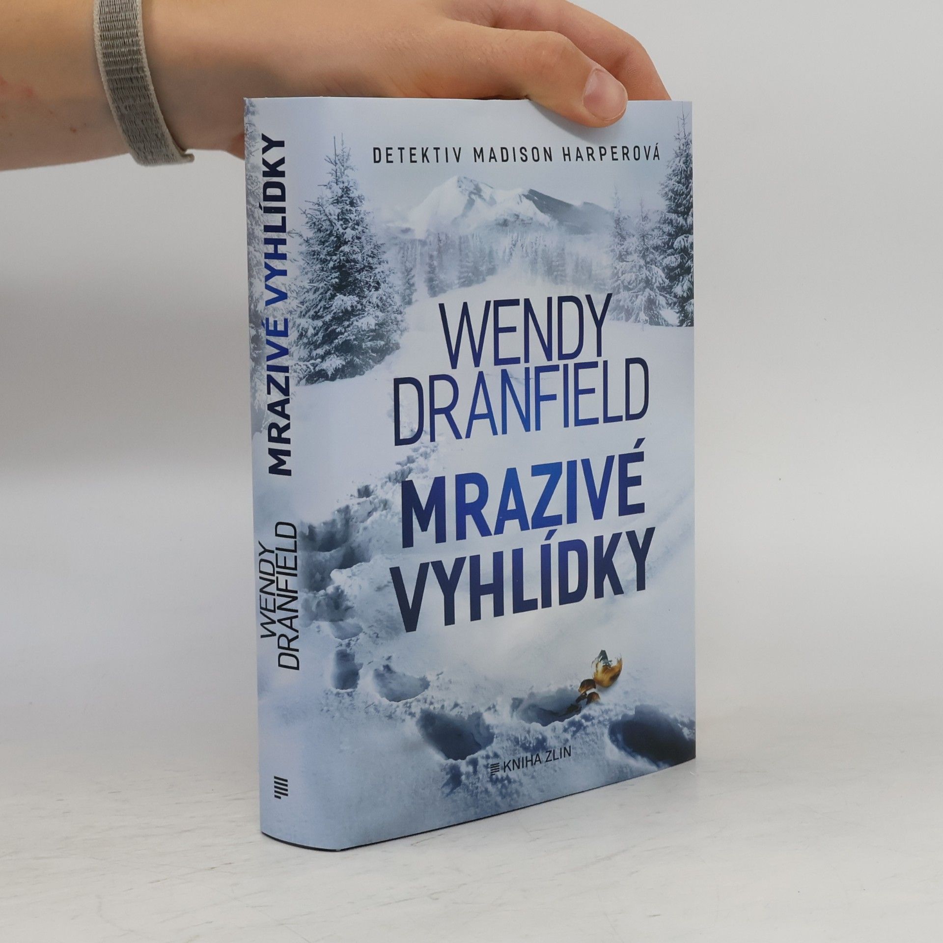 Wendy Dranfield Mrazivé vyhlídky