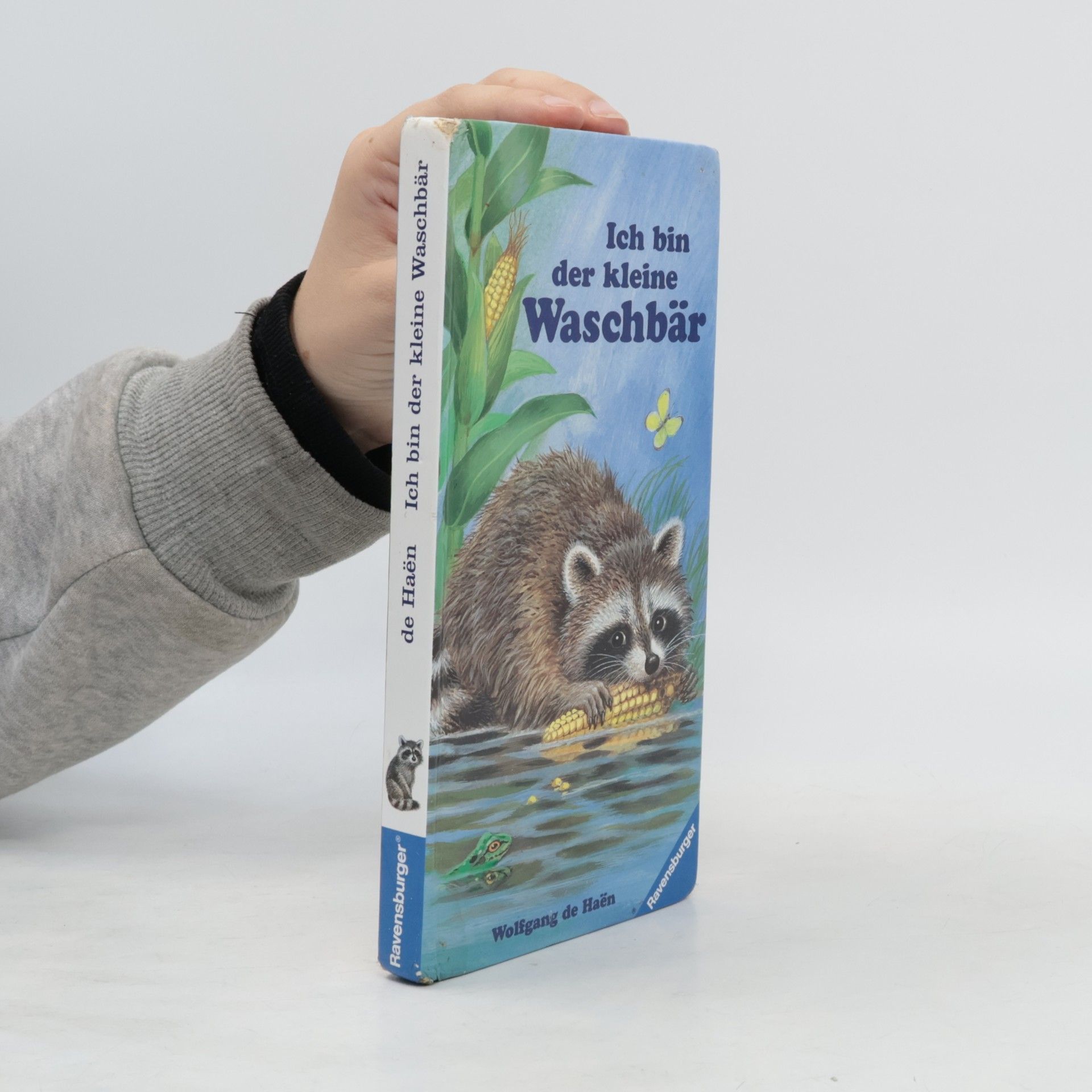 Wolfgang de Haen Ich bin der kleine Waschbär
