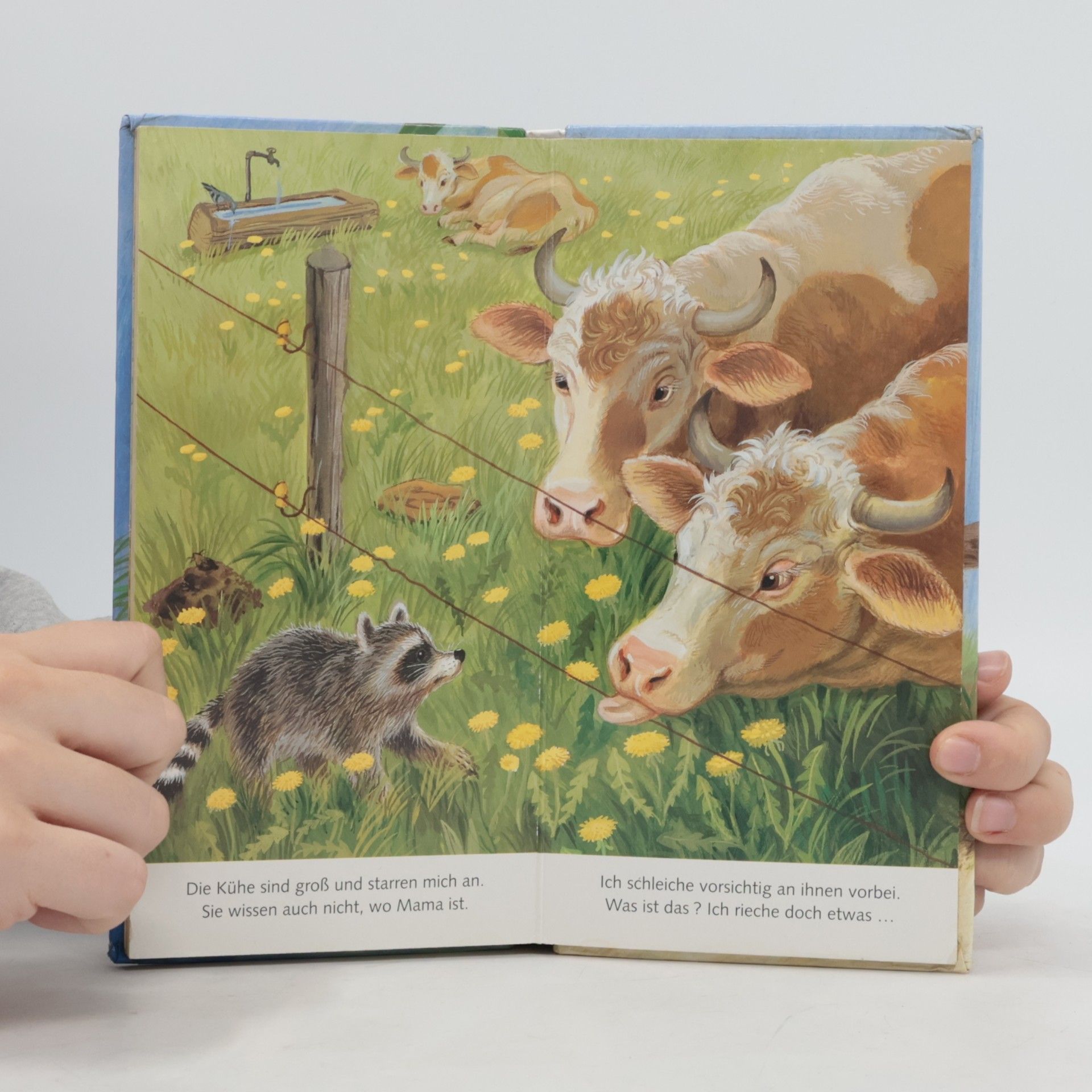 Wolfgang de Haen Ich bin der kleine Waschbär