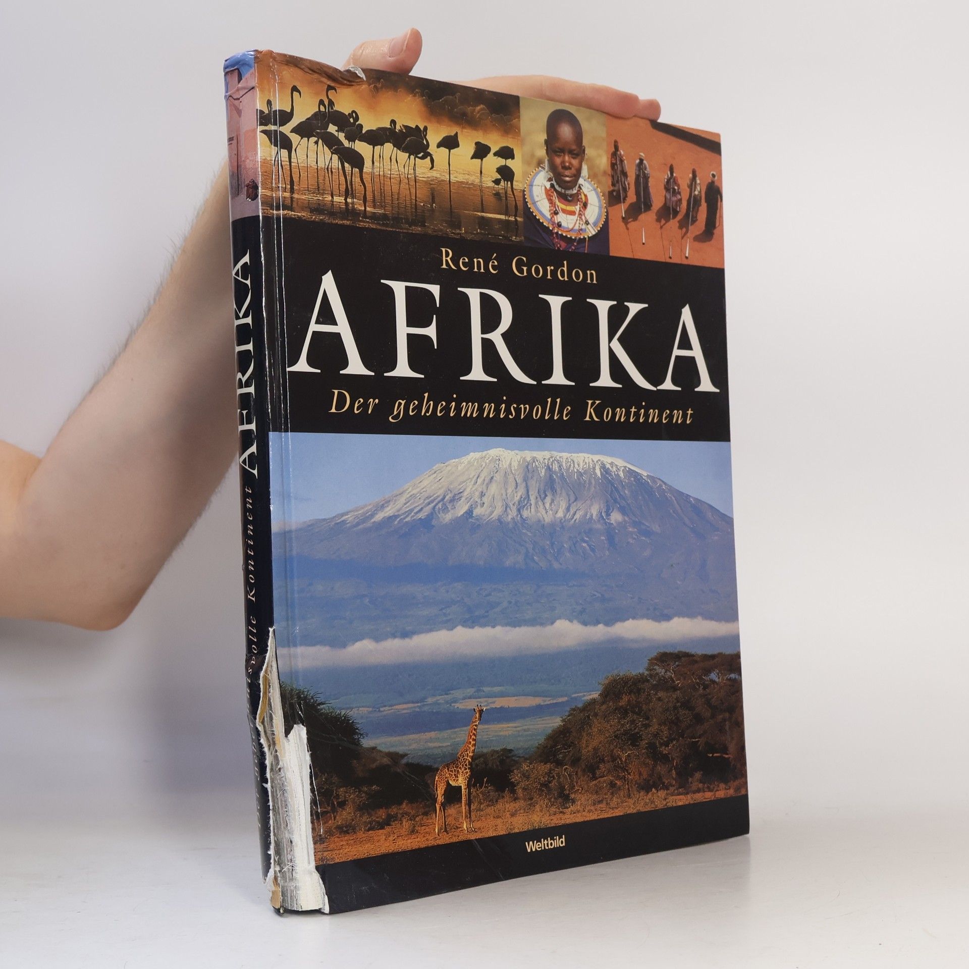 Rene Gordon Afrika