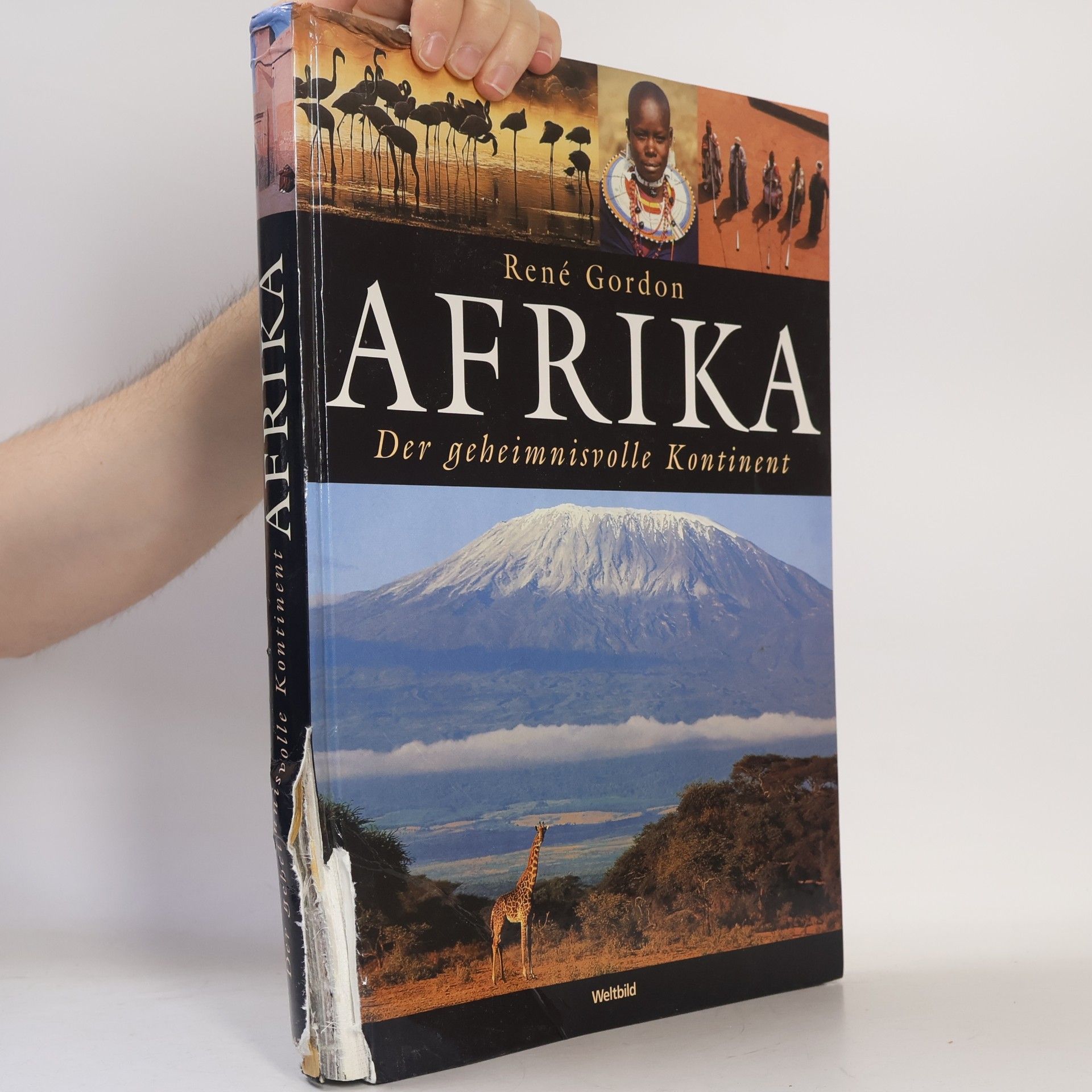 Rene Gordon Afrika