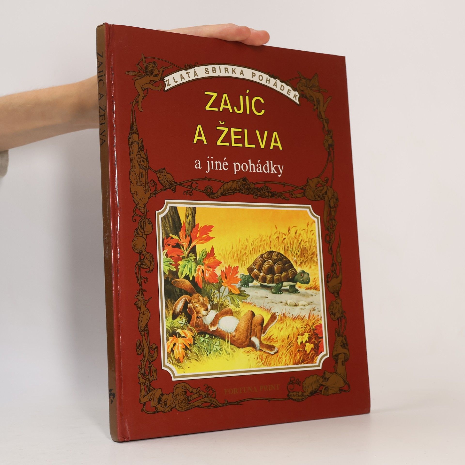 Kolektiv autorů Zajíc a želva a jiné pohádky