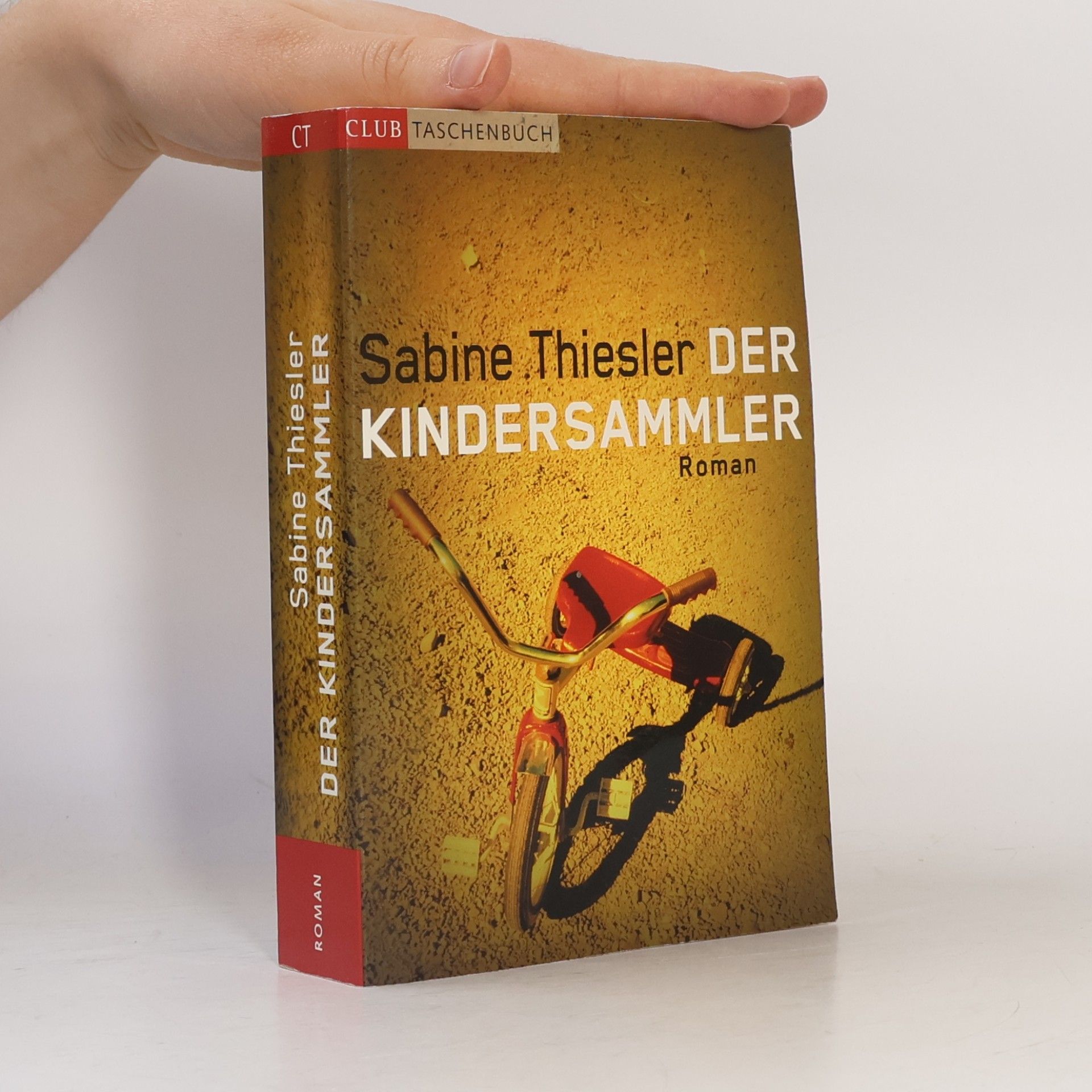 Sabine Thiesler Der Kindersammler