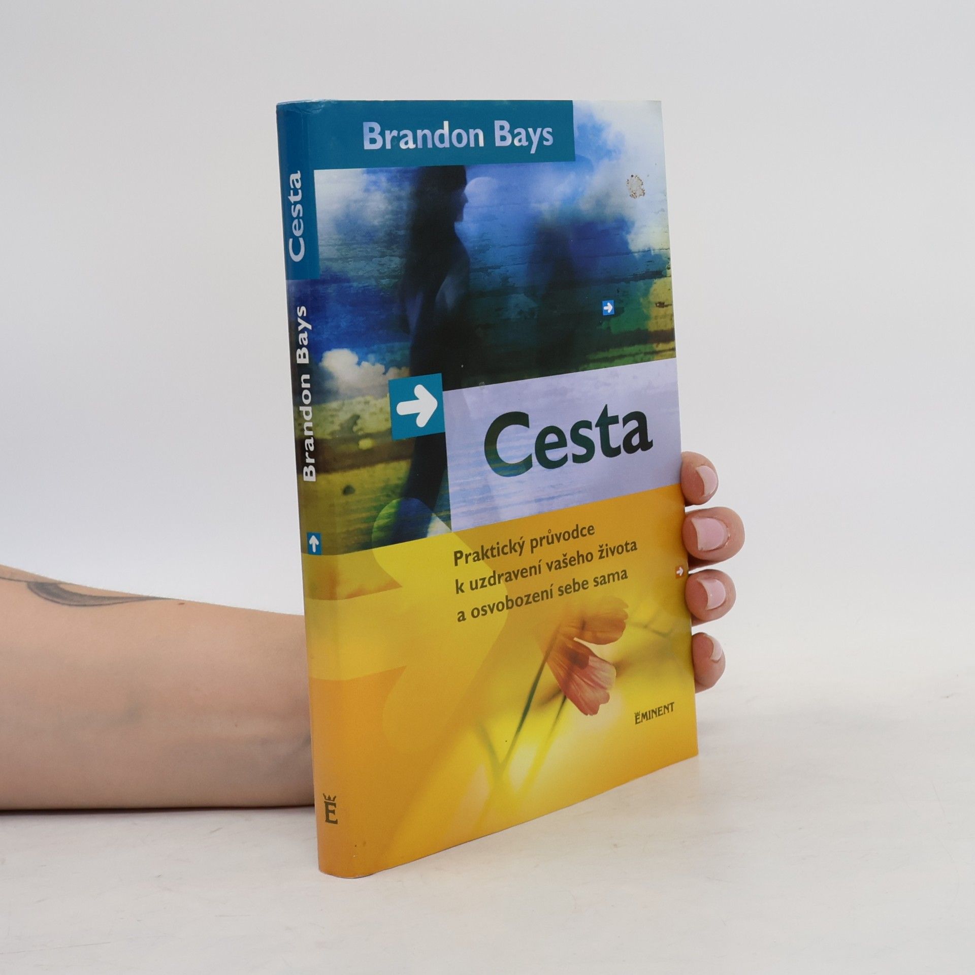 Brandon Bays Cesta
