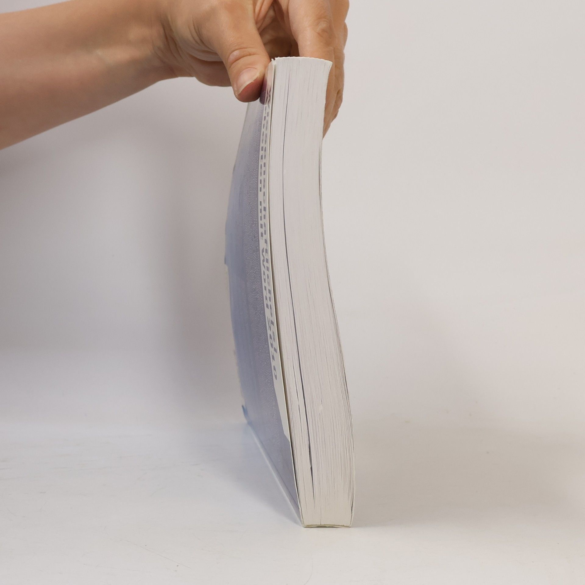 Markus Hahner Wissenschaftliche[s] Arbeiten mit Word 2010
