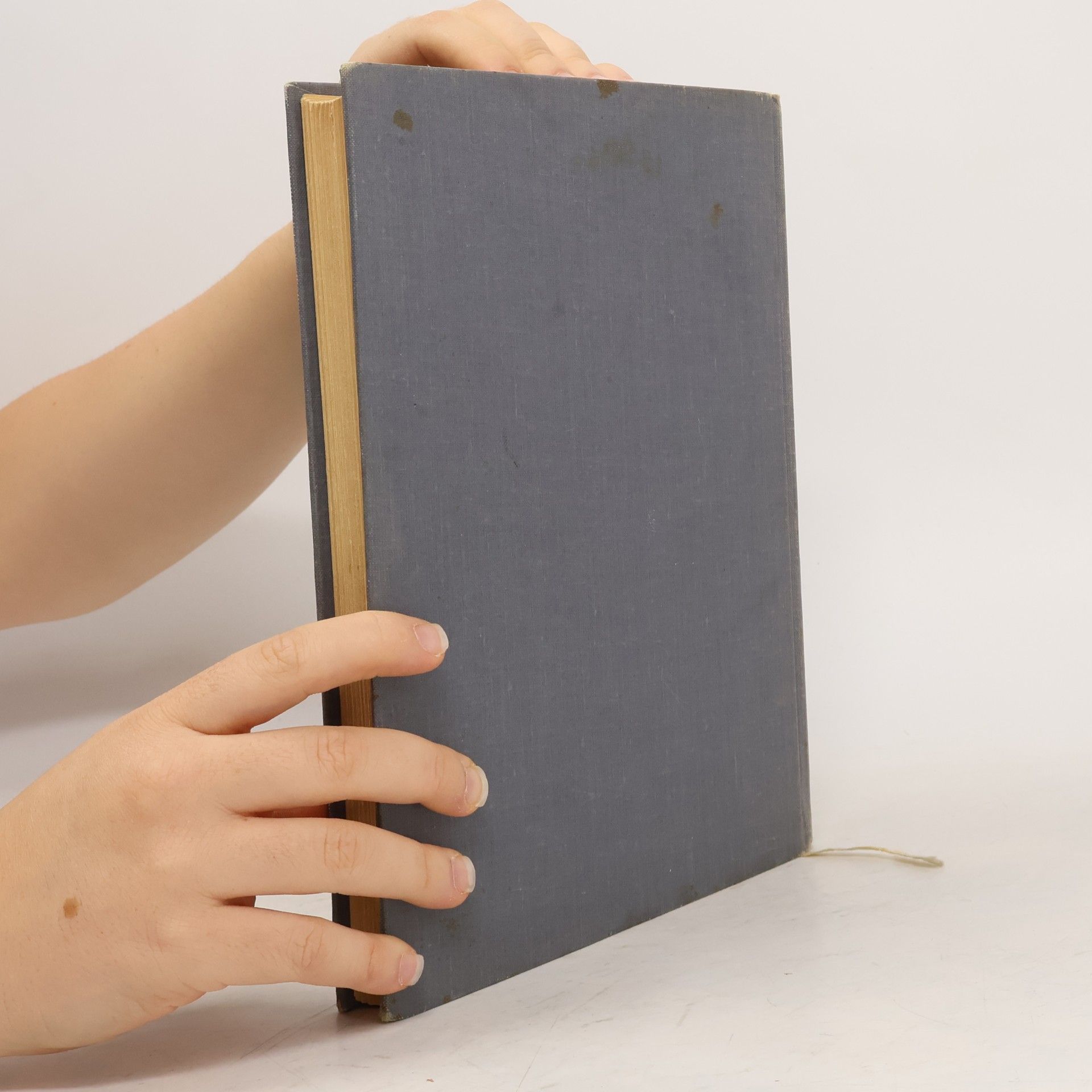 Mark Twain Princ a bedár