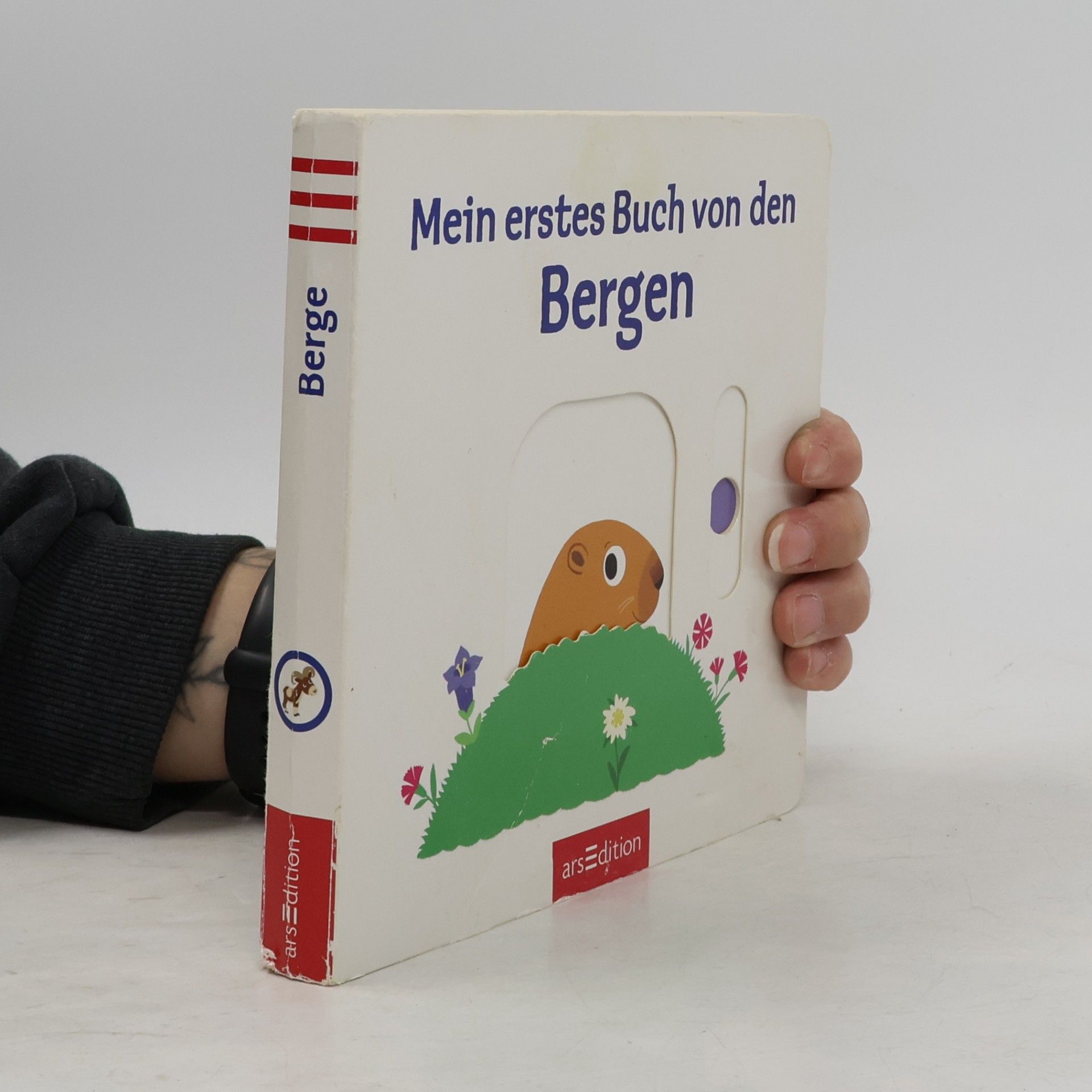 Nathalie Choux Mein erstes Buch von den Bergen