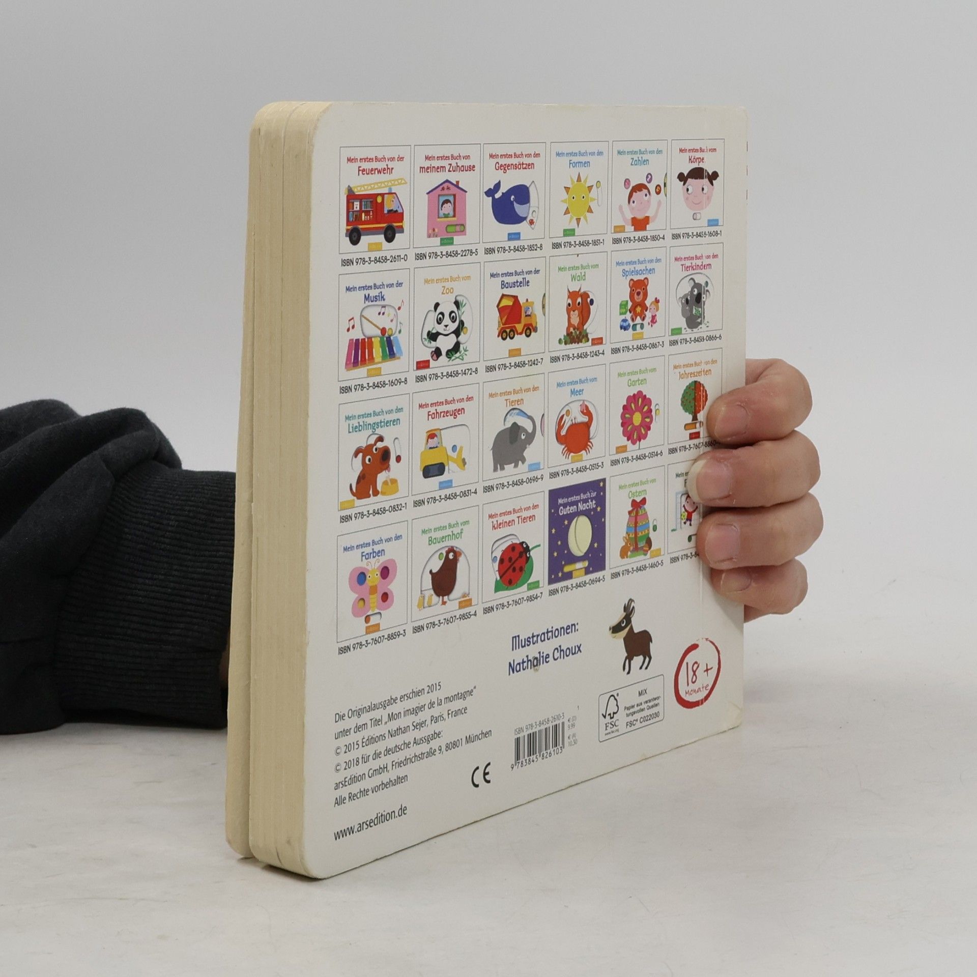 Nathalie Choux Mein erstes Buch von den Bergen