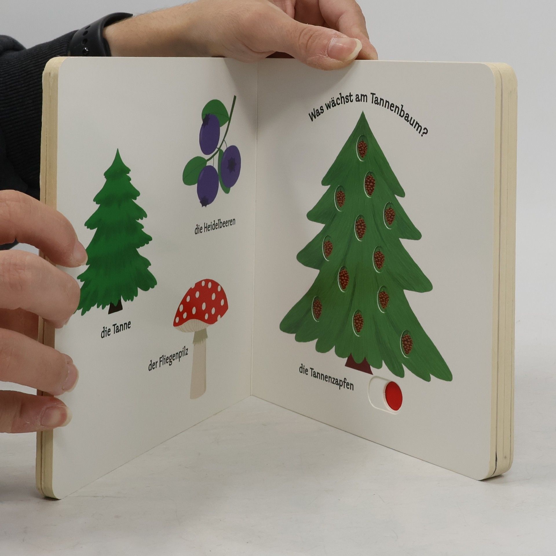 Nathalie Choux Mein erstes Buch von den Bergen