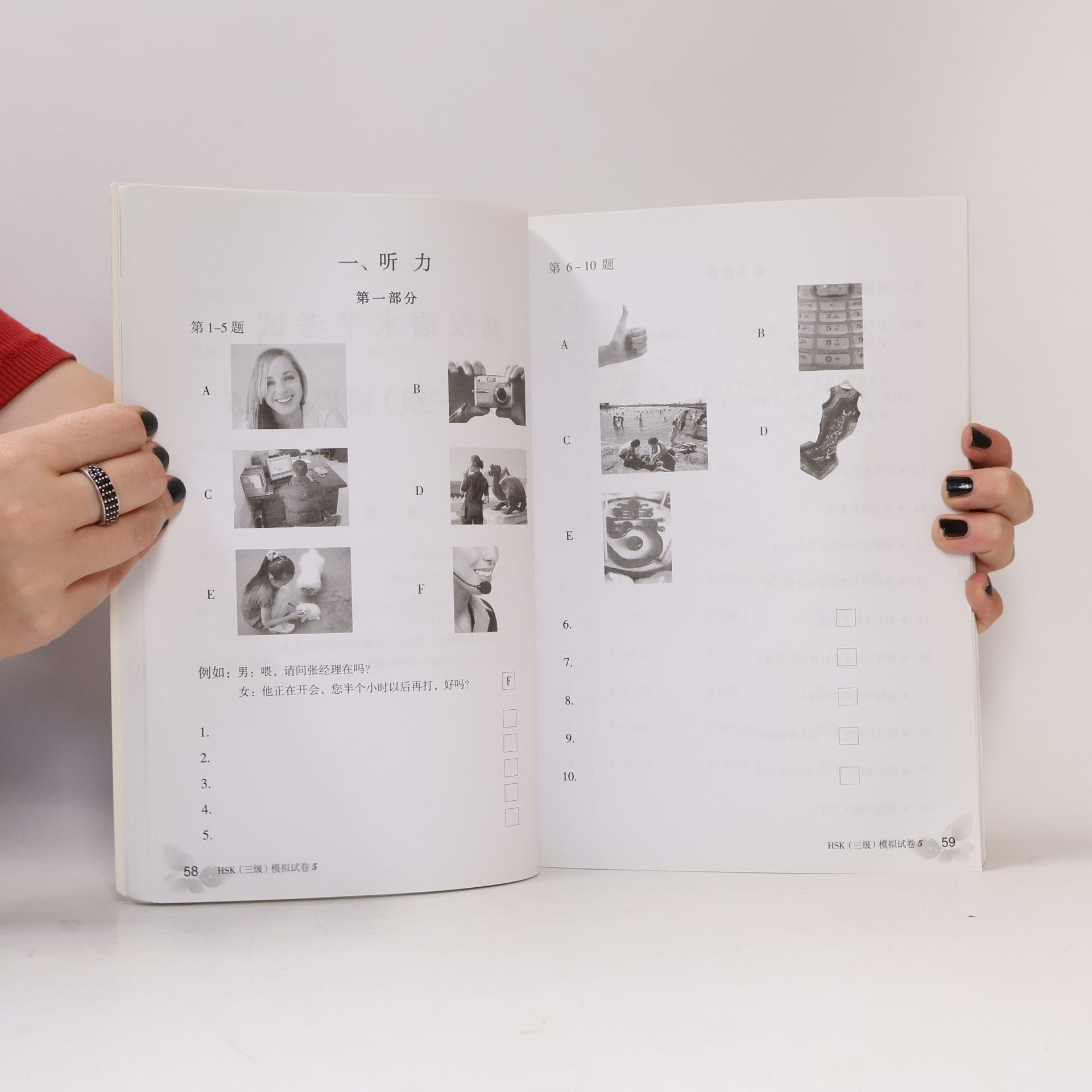 Kolektiv autorů 新汉语水平考试模拟试题集