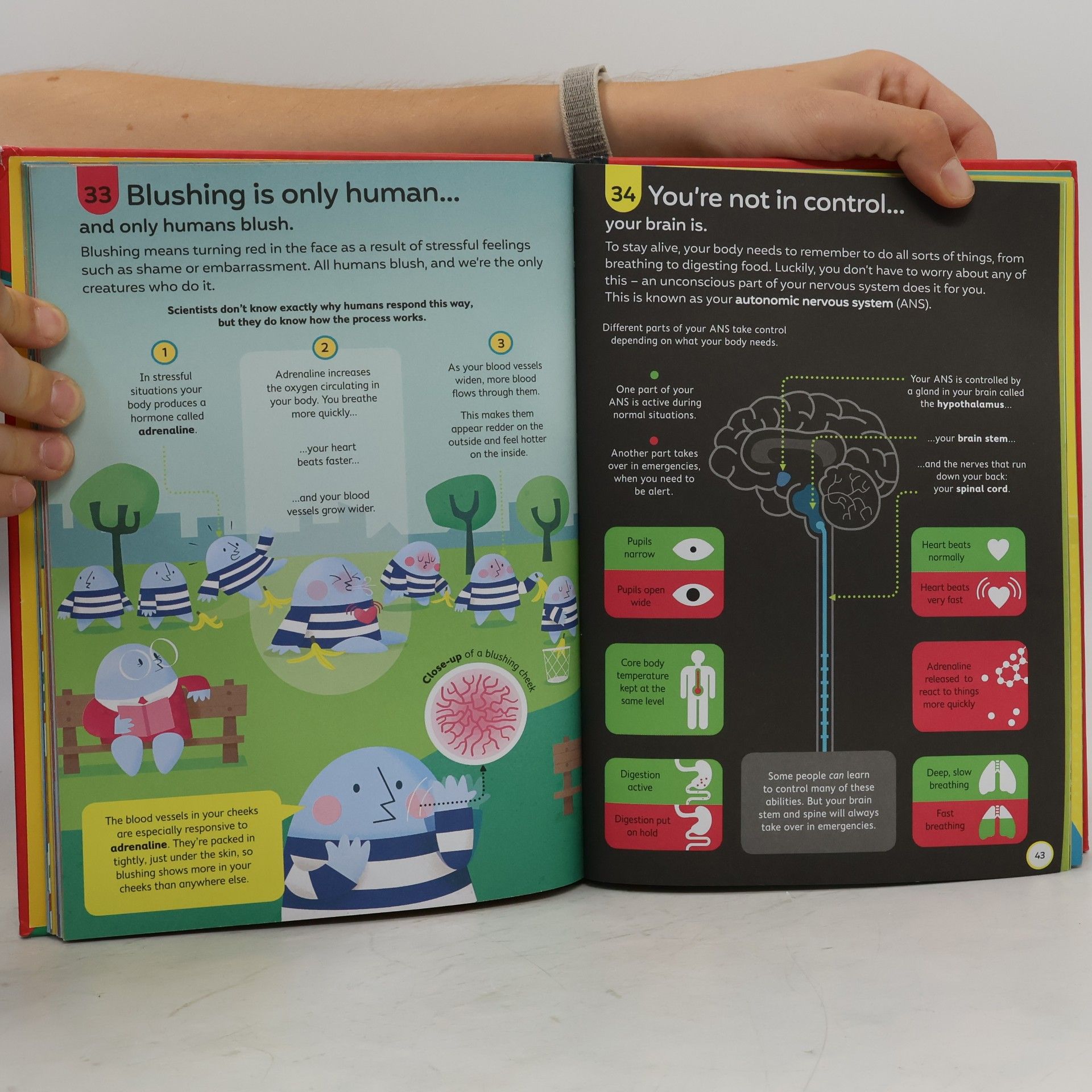 Alex Frith 100 Things to Know About the Human Body