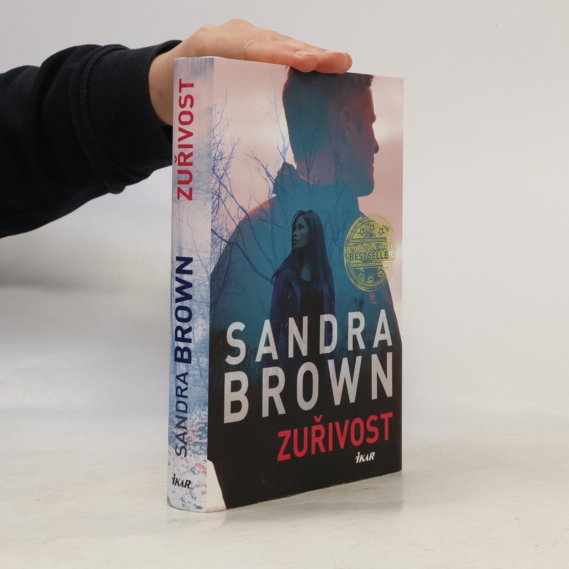 Sandra Brown Zuřivost