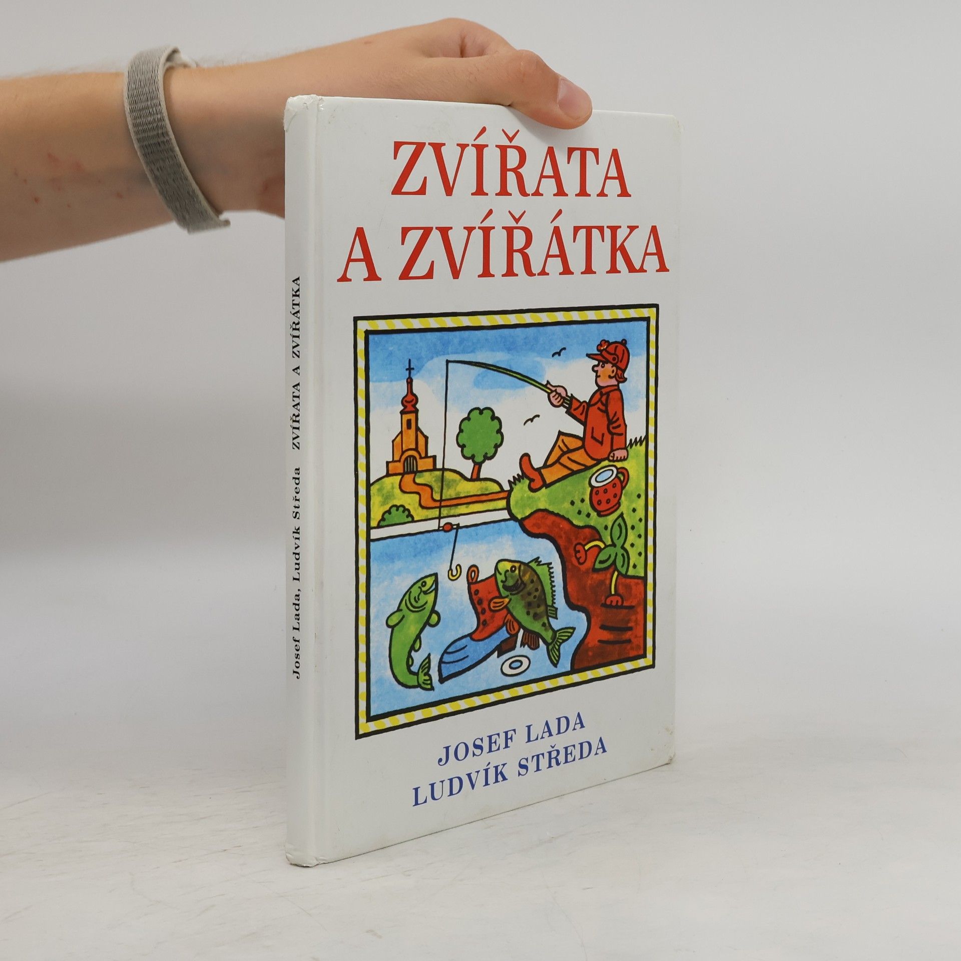Zvířata a zvířátka