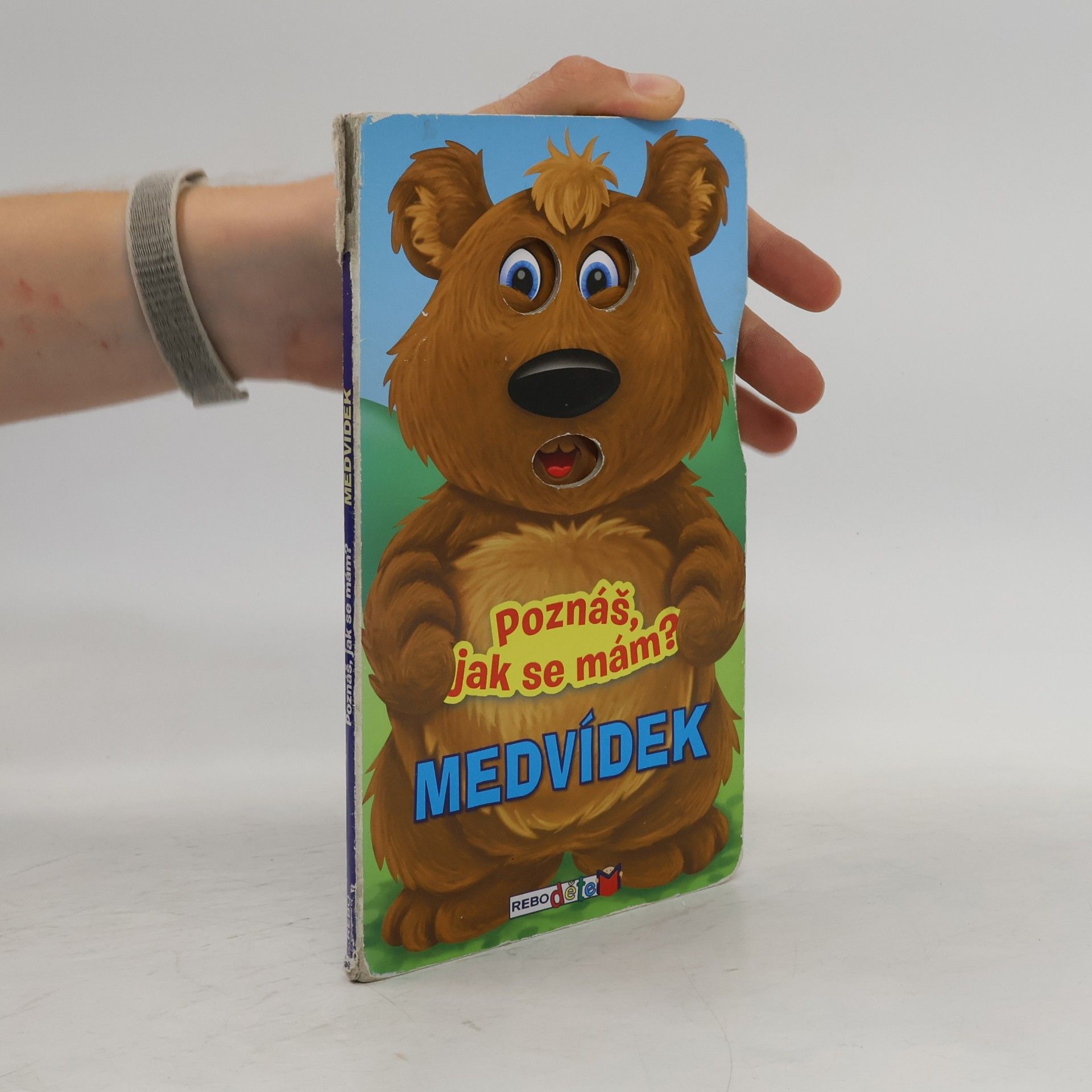 Kolektiv autorů Poznáš jak se mám? - Medvídek