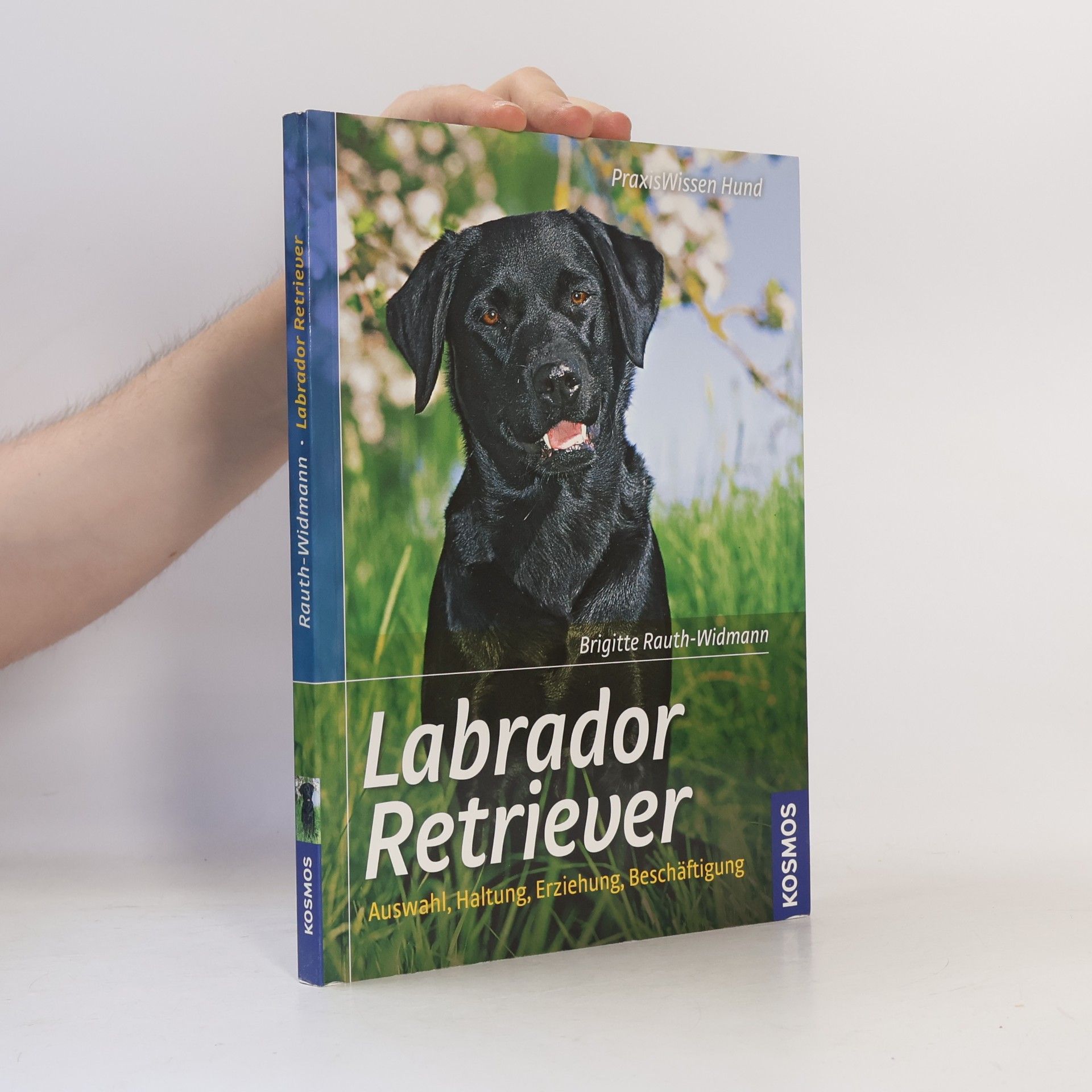 Brigitte Rauth Widmann Labrador Retriever