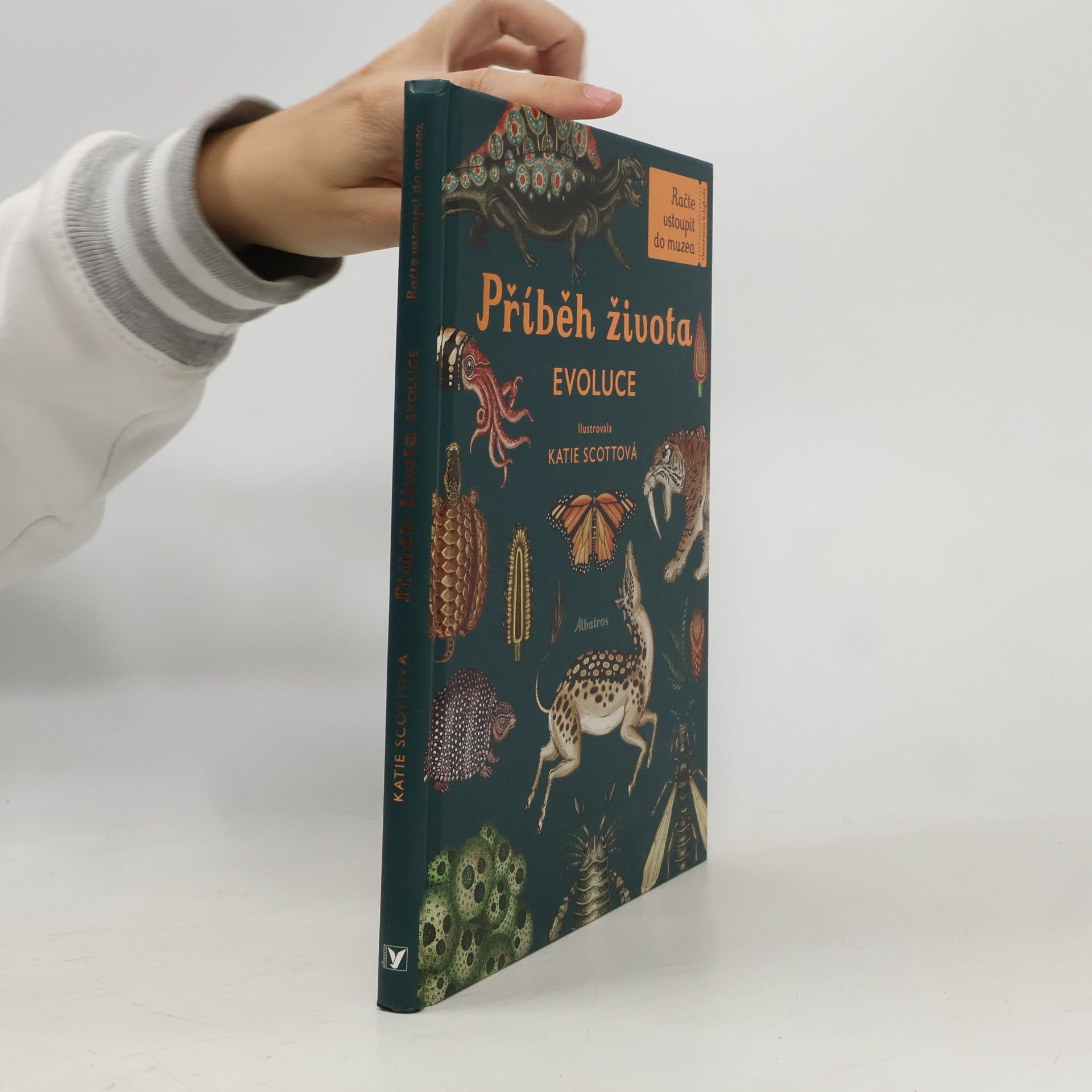 Ruth Symons Příběh života: Evoluce