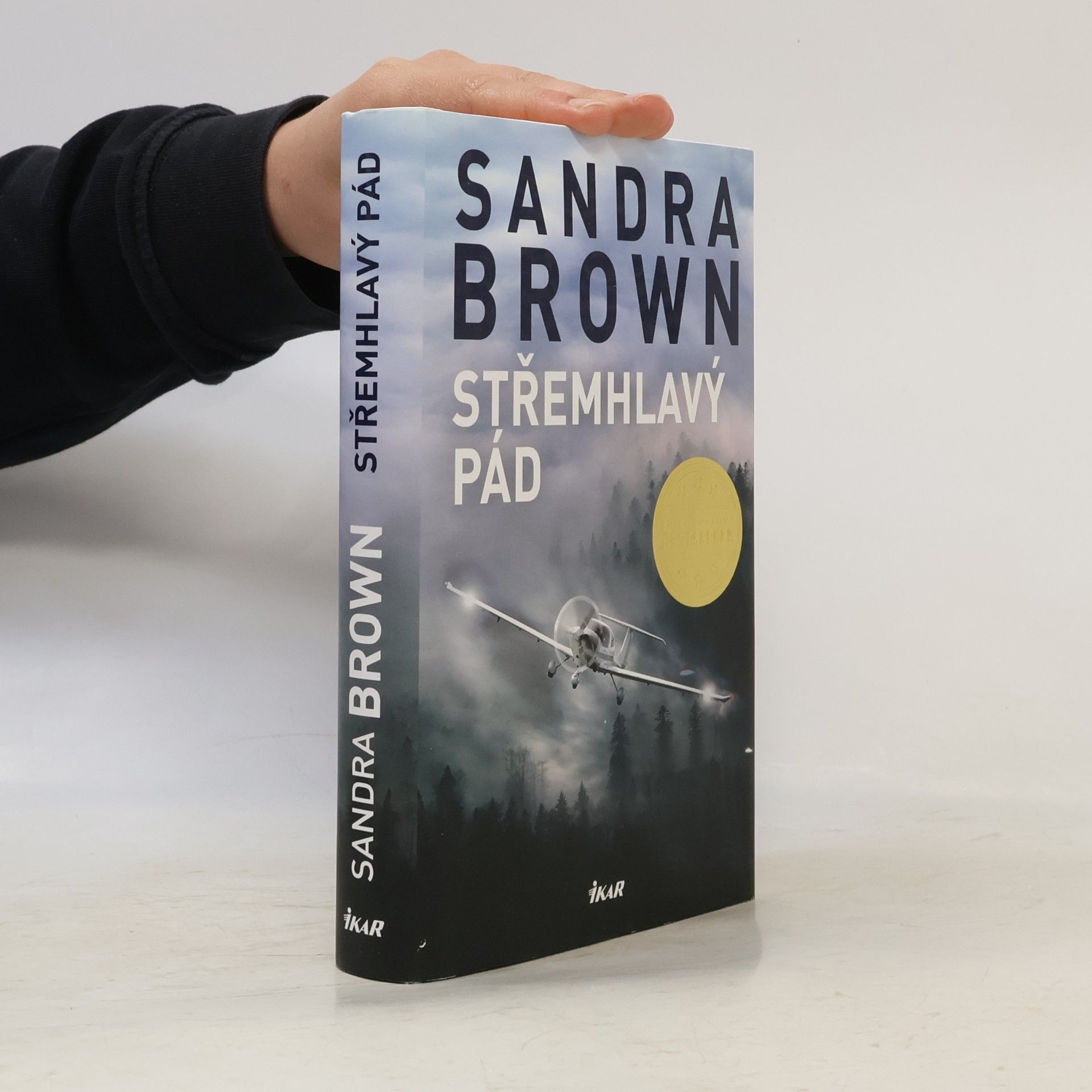 Sandra Brown Střemhlavý pád