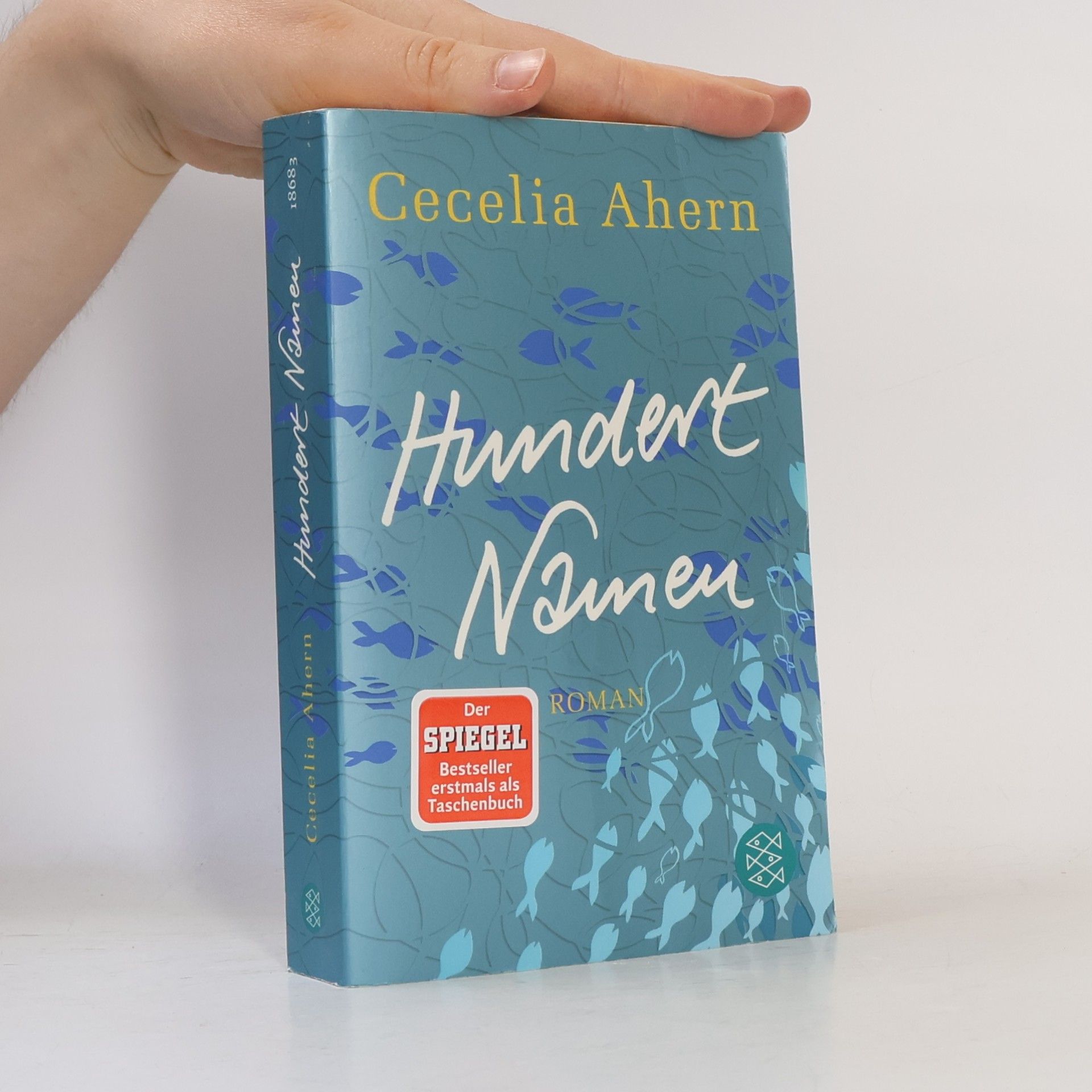 Cecelia Ahern Hundert Namen