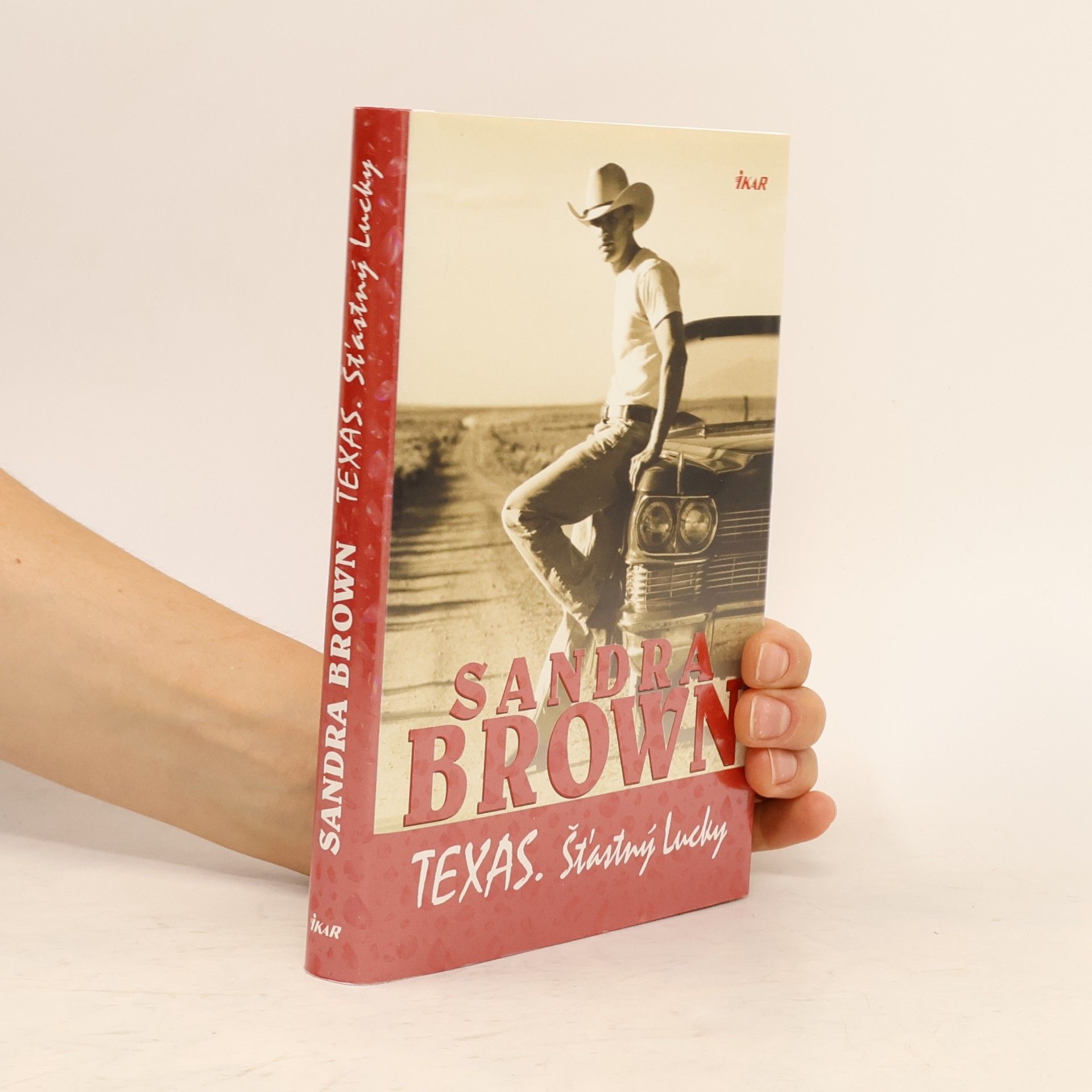 Sandra Brown Texas : šťastný Lucky