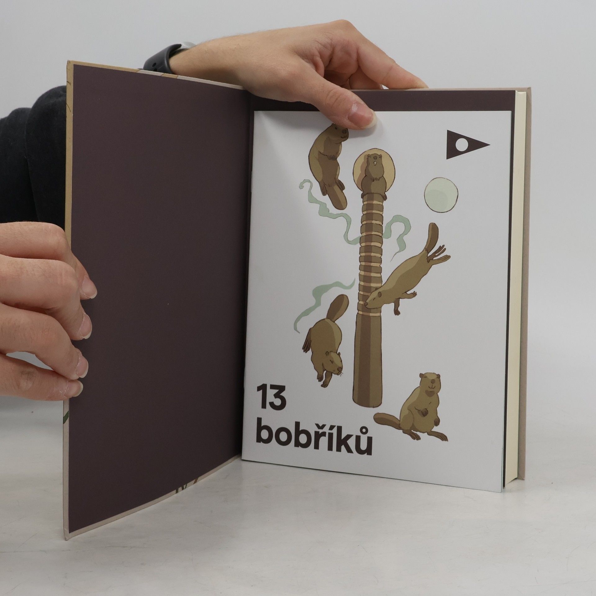 Jaroslav Foglar Hoši od Bobří řeky