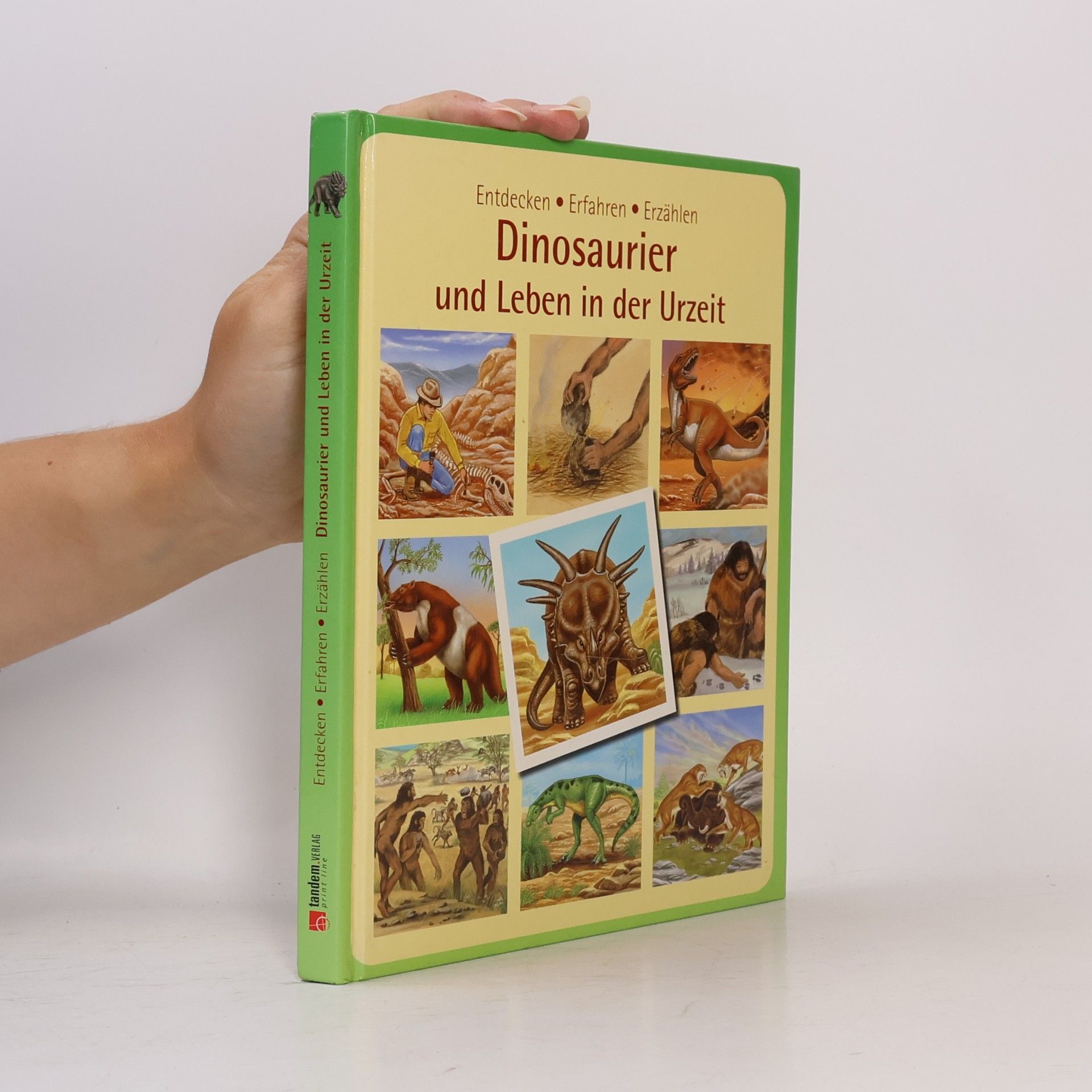 Auteurscollectief Dinosaurier und Leben in der Urzeit