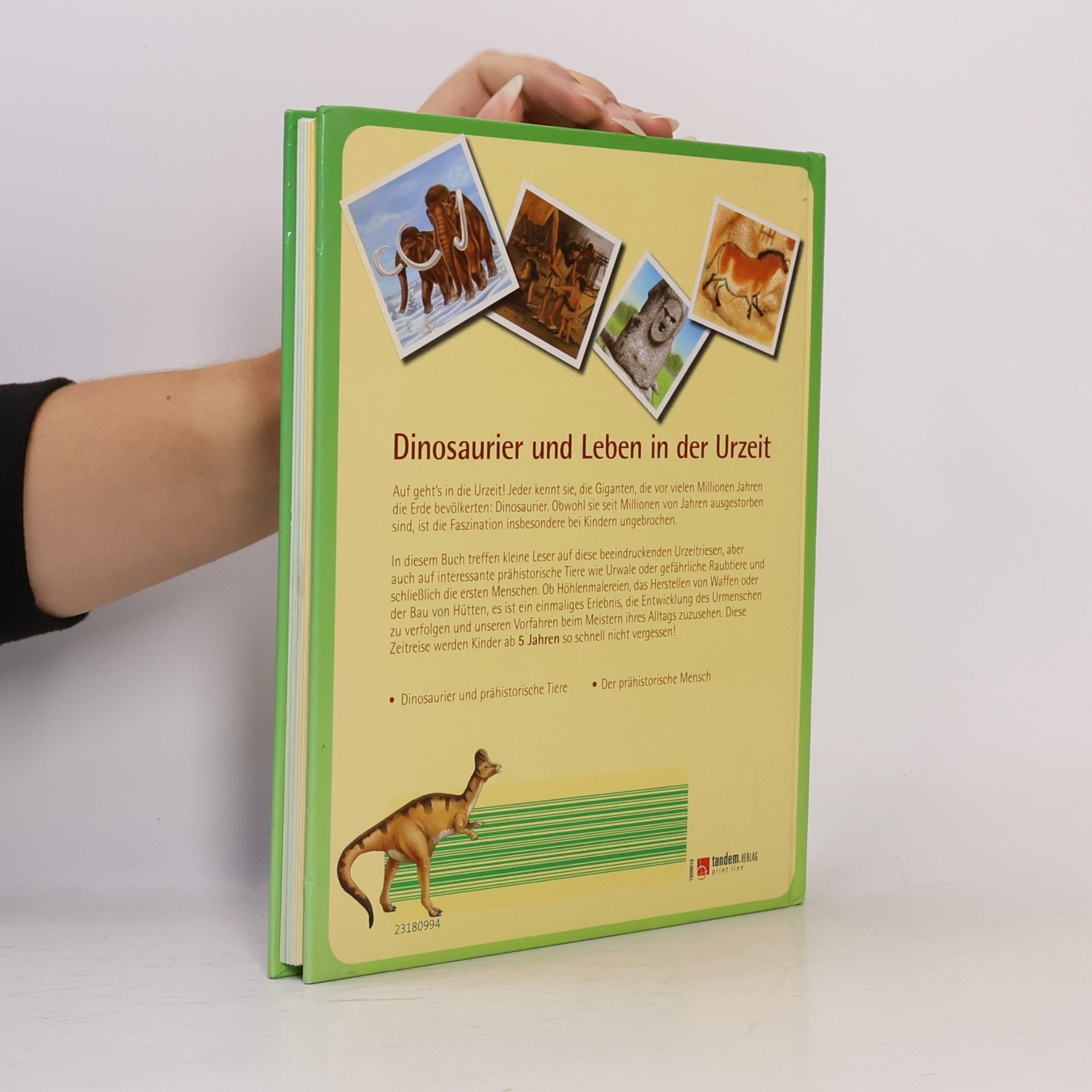 Collectif d'auteurs Dinosaurier und Leben in der Urzeit