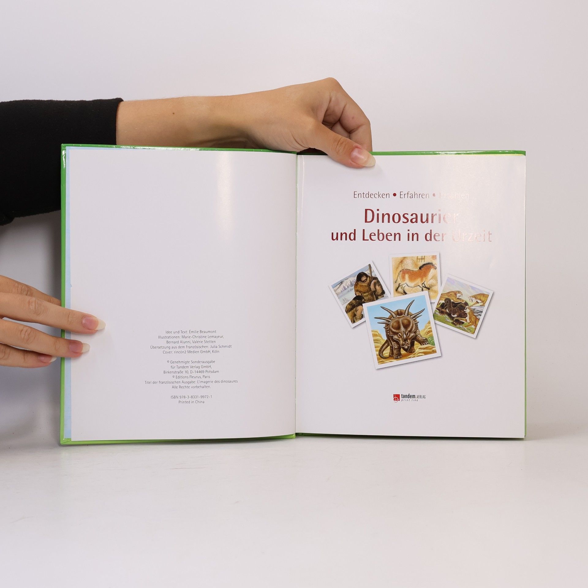 Collectif d'auteurs Dinosaurier und Leben in der Urzeit